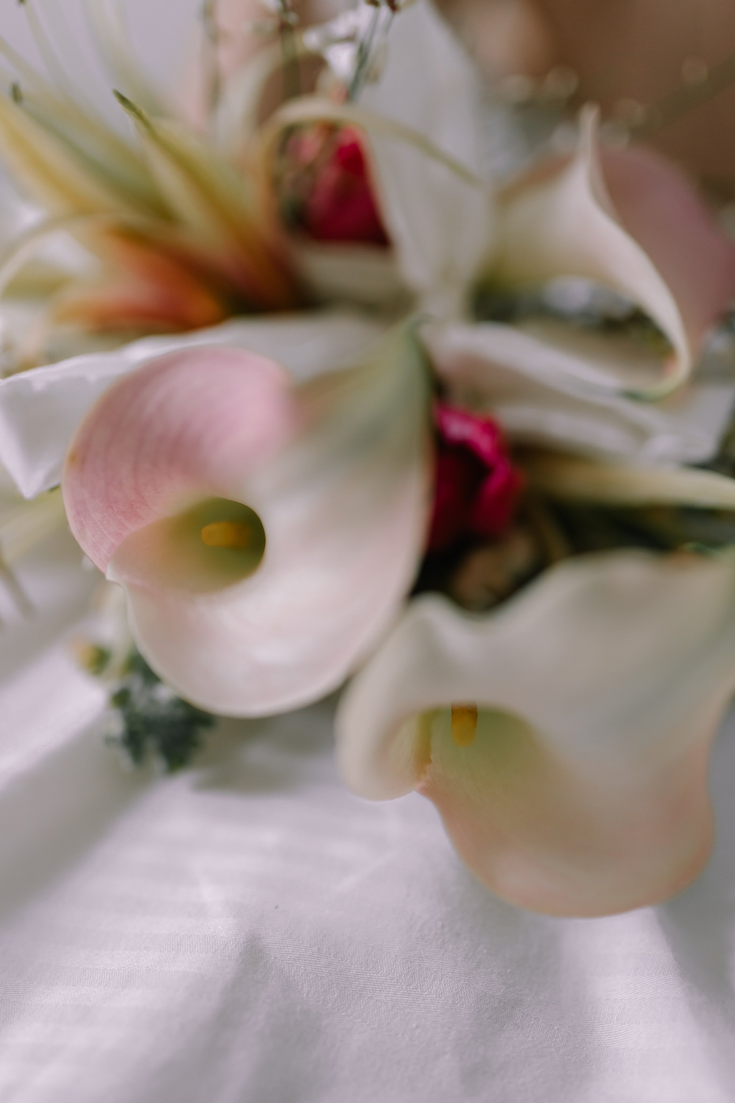 Anastasia & Vlad. Фотограф в Минске — Юлия Деяк. Фотосессии в Минске