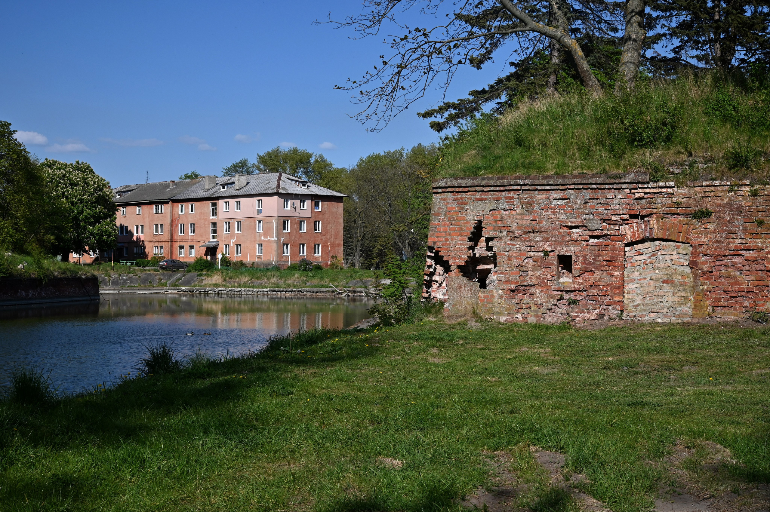 Пейзаж. Дмитрий Старков — фотограф