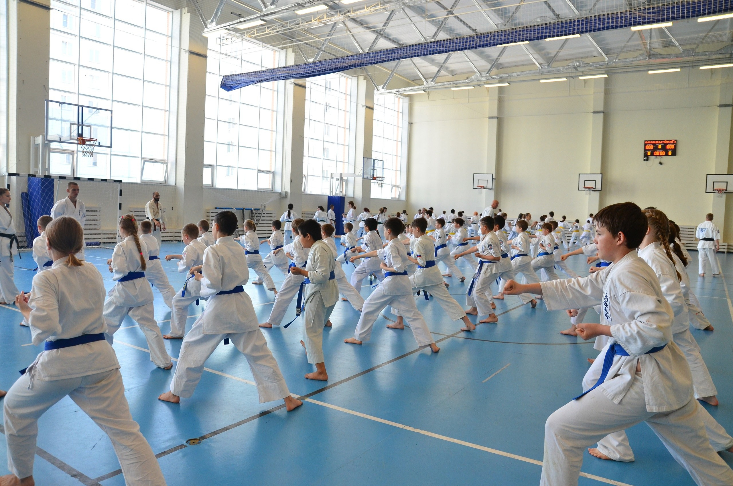 Соревнование по карате. Фотограф анималист, пейзажист, спортивные мероприятия. Новосибирск