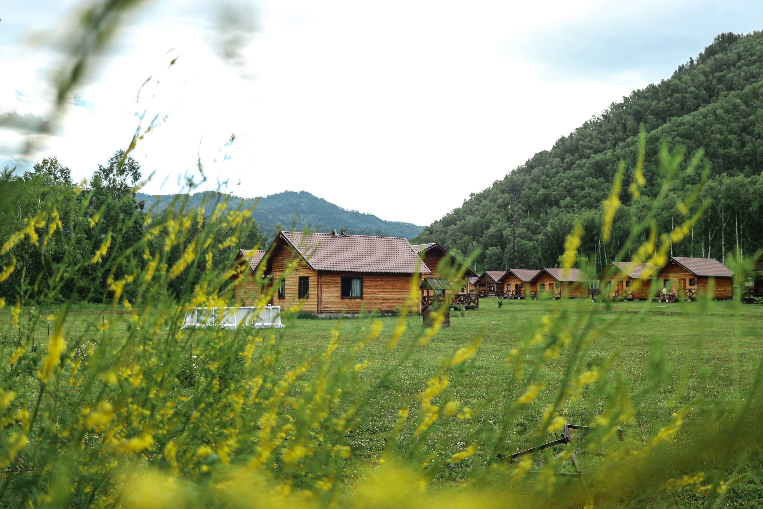 «Малиновый остров» база отдыха, респ. Алтай. Контент фотограф Дмитрий Борисов