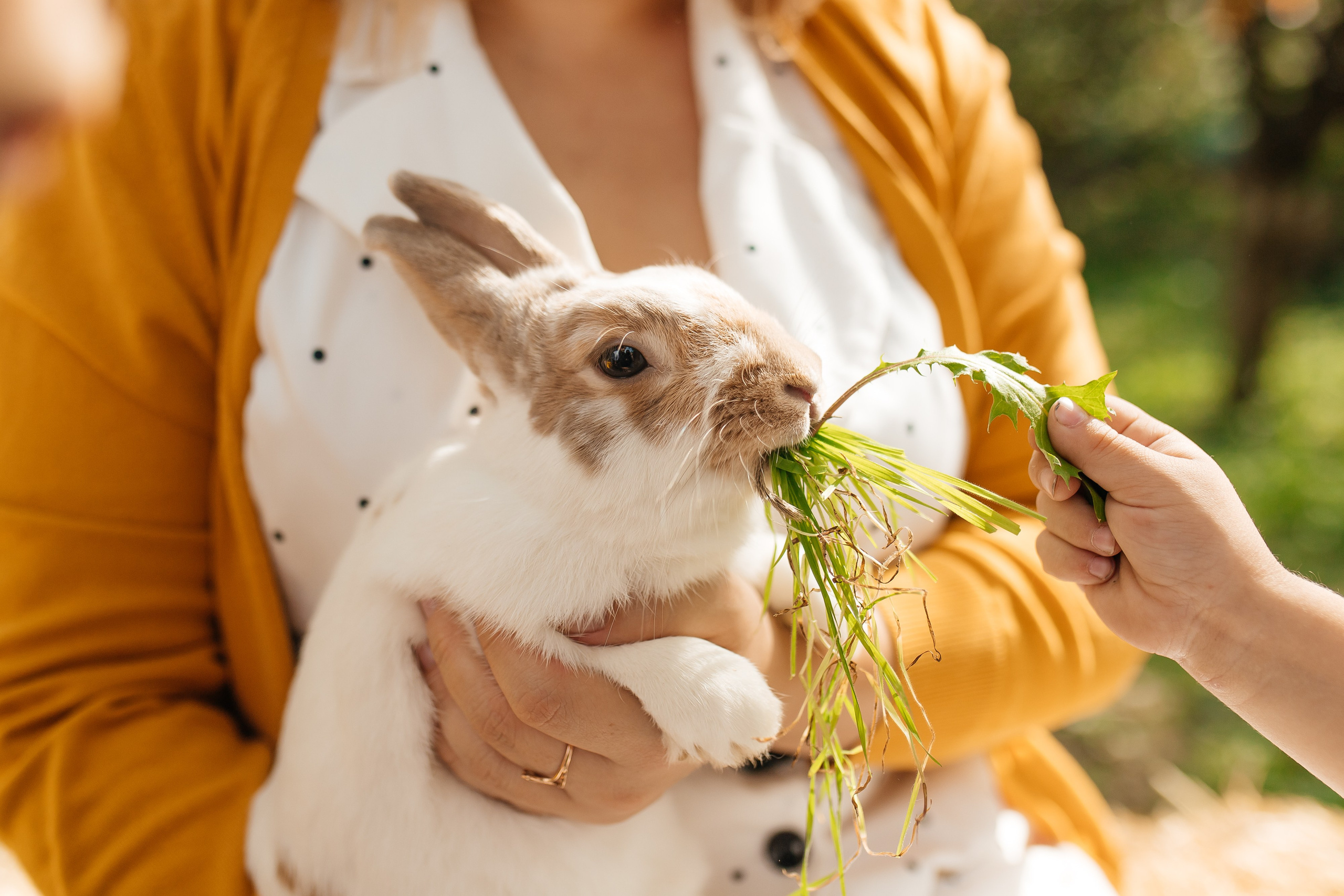 Семья Пригорницких. Осень. Фотограф в Ростов-на-Дону Виктория Савчук