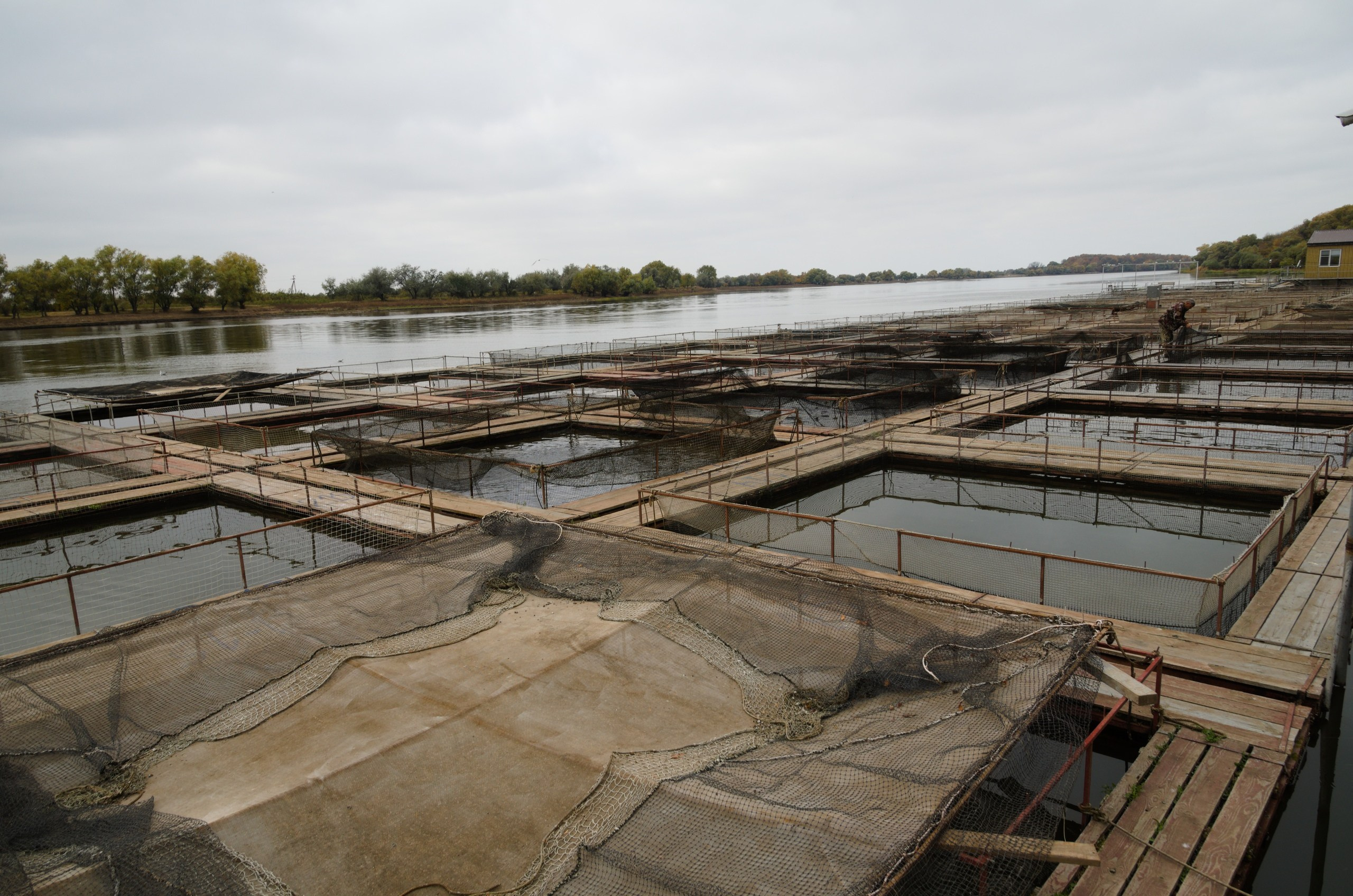 Астрахань | 17-18.10.2020. Галерея Фантим