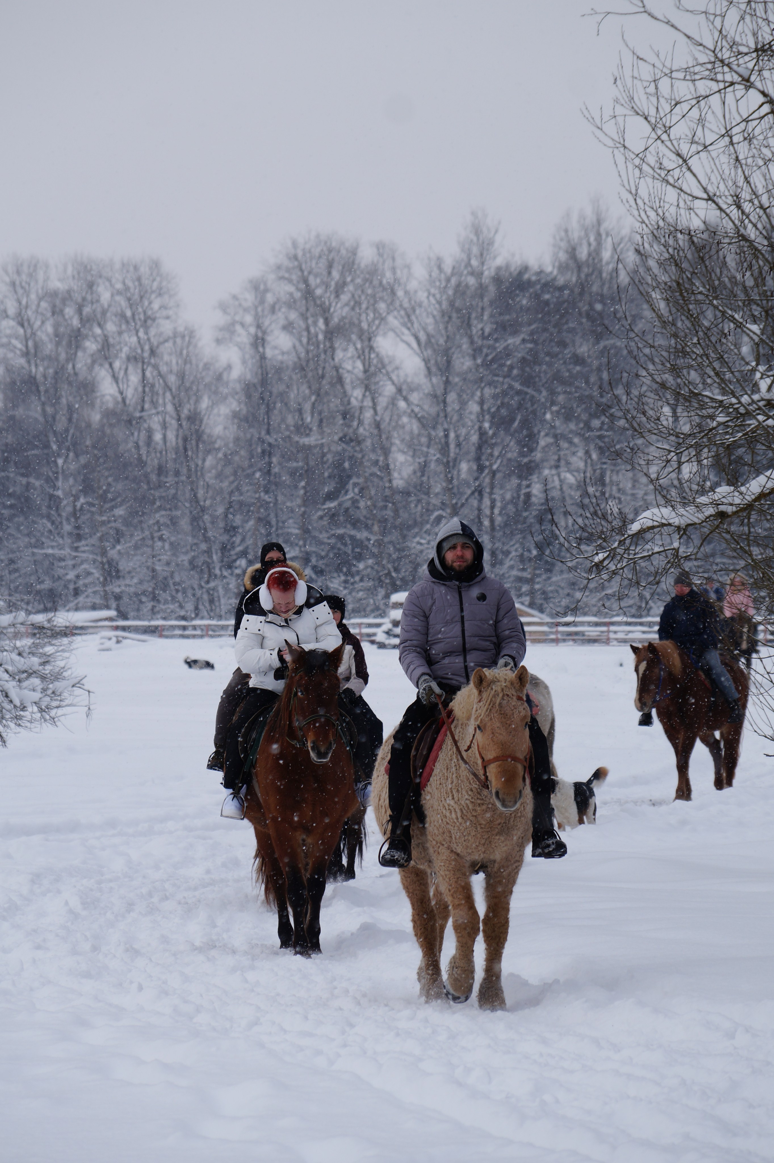 Лошадинг | 11.01.2026. Галерея Фантим