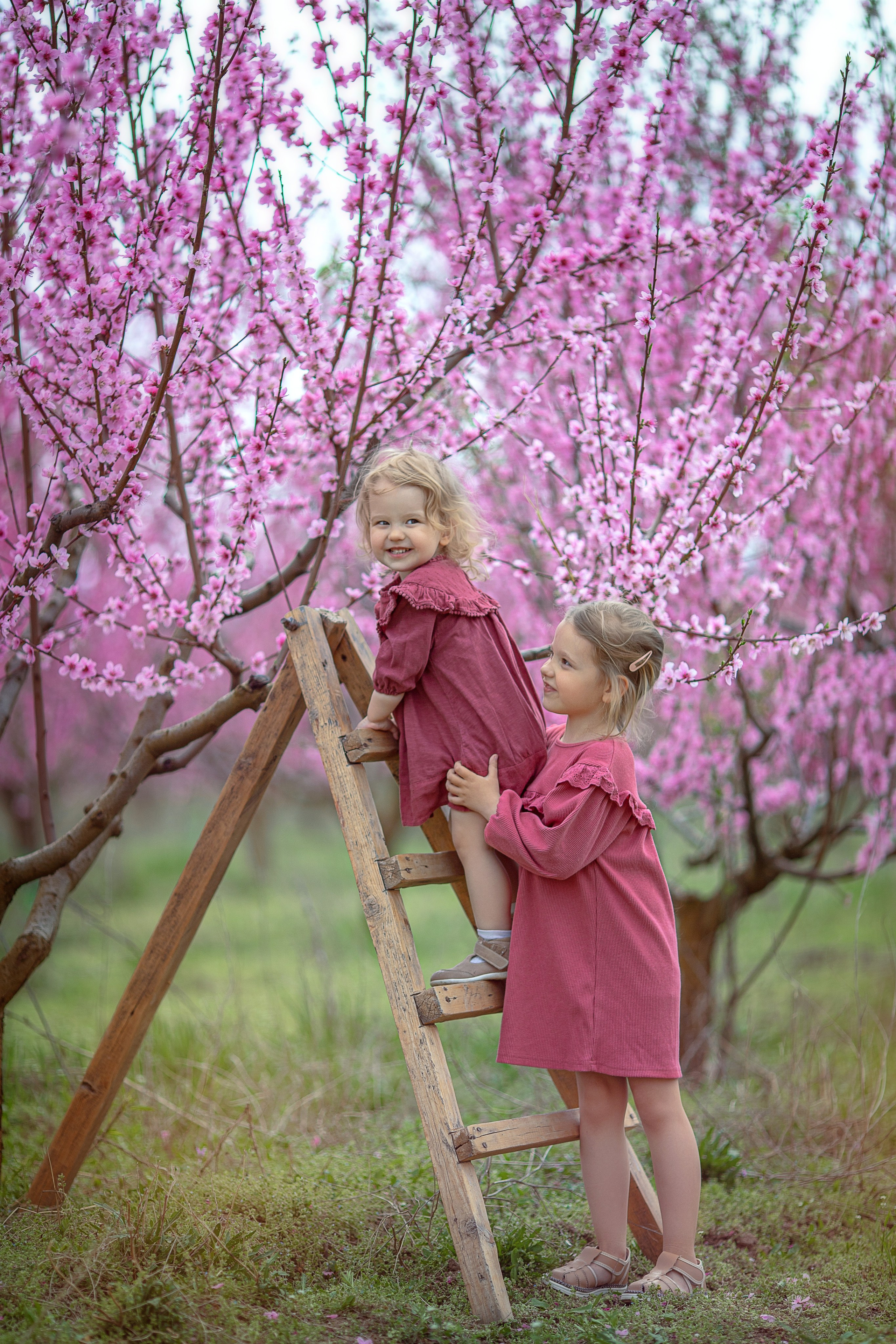 Цветущие персики 2024 г. Семейный и детский фотограф в Крыму Екатерина Швец