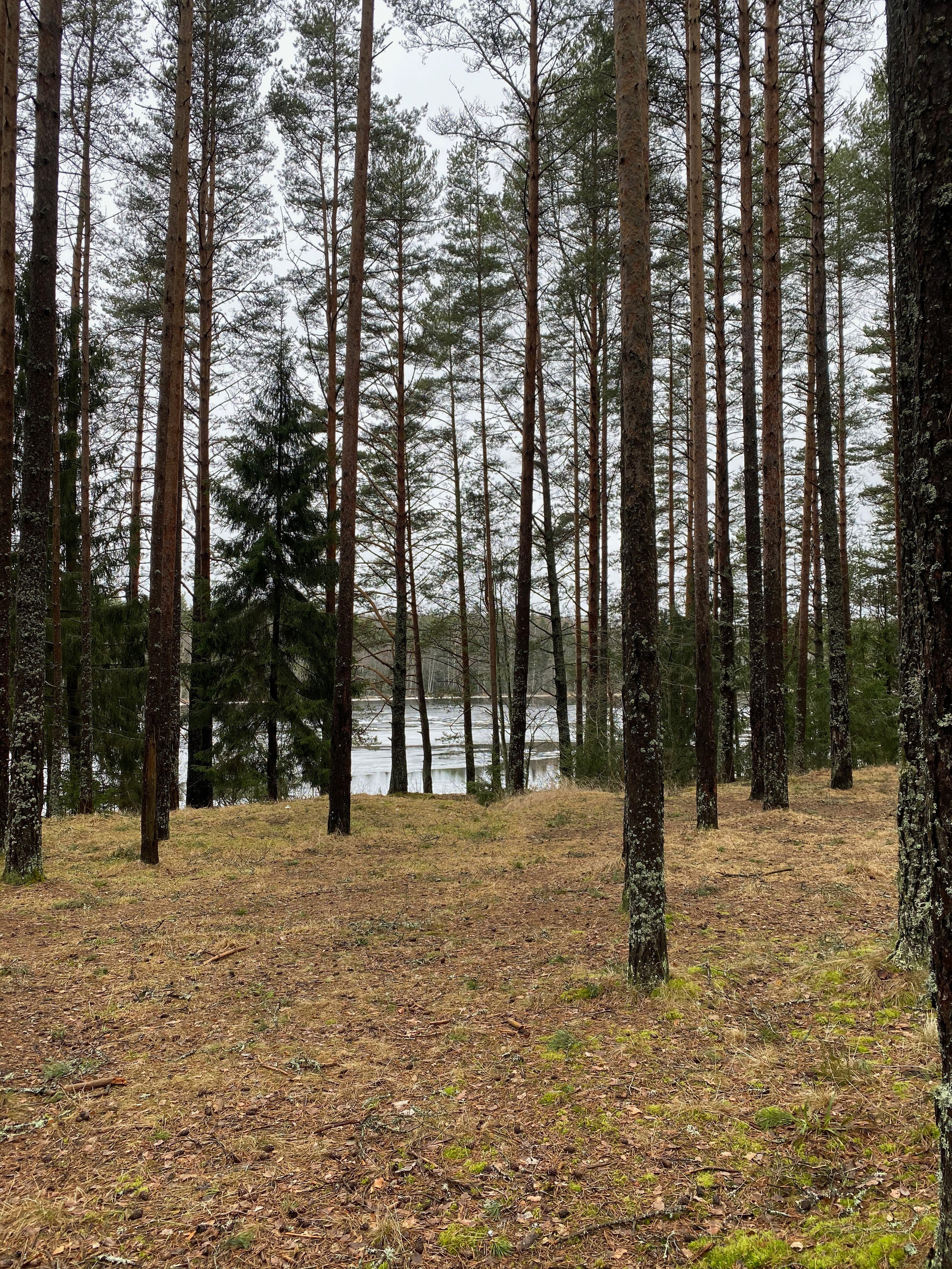 Вокруг Селигера-20. Своя Мастерская