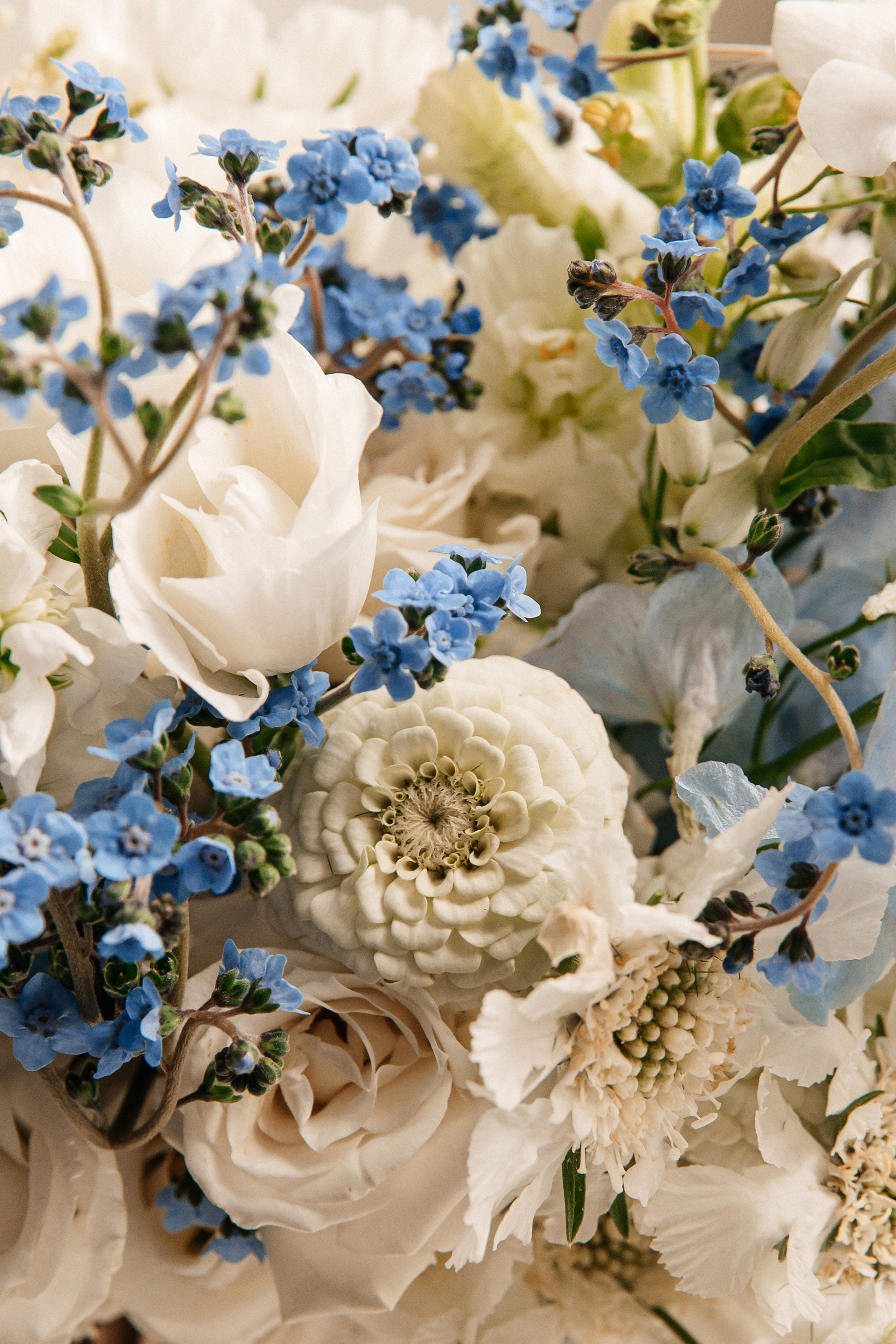 АНОНС. Мария — Свадебный фотограф