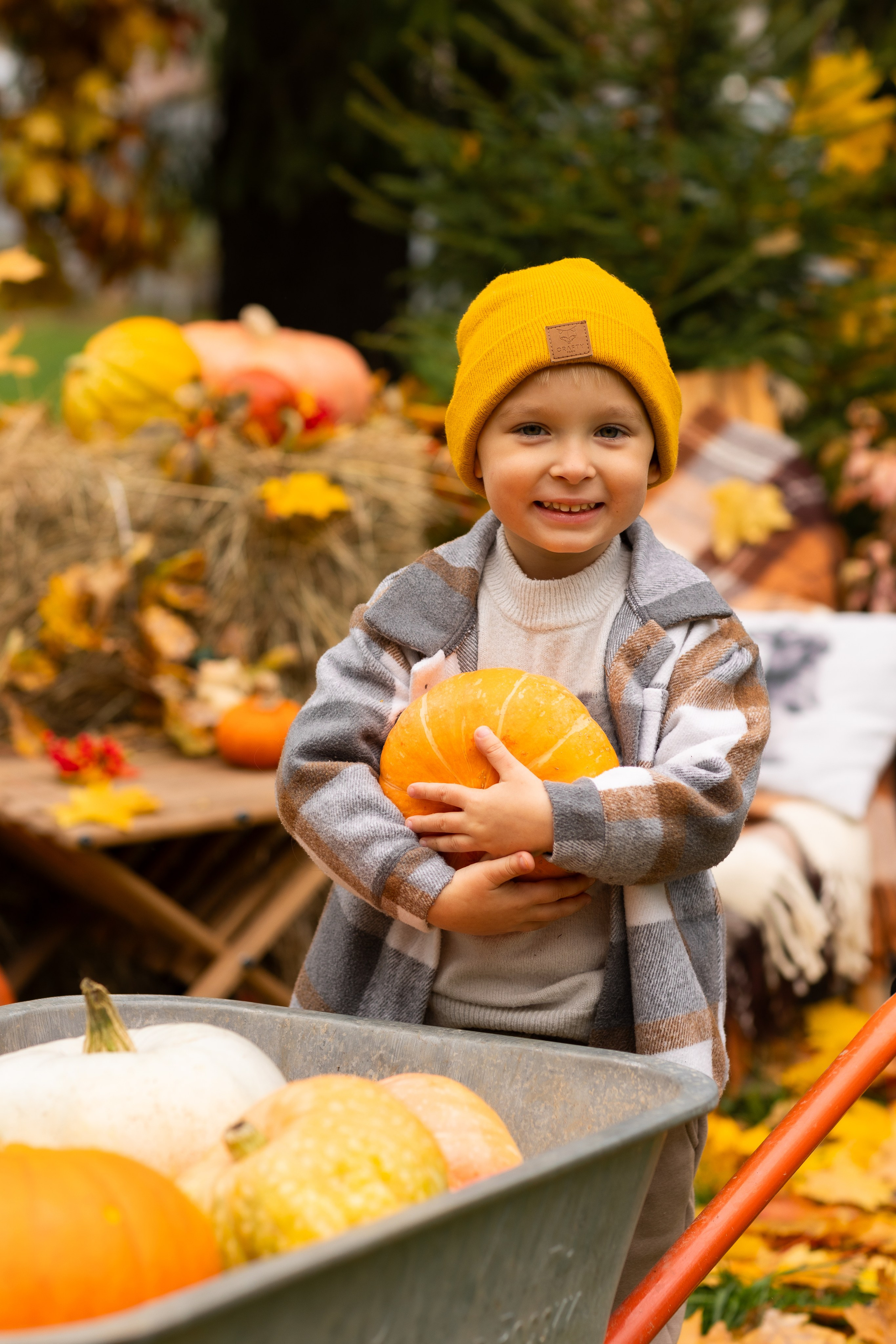 Осень. Профессиональный ретушер Москва и весь мир — Елена Тимченко