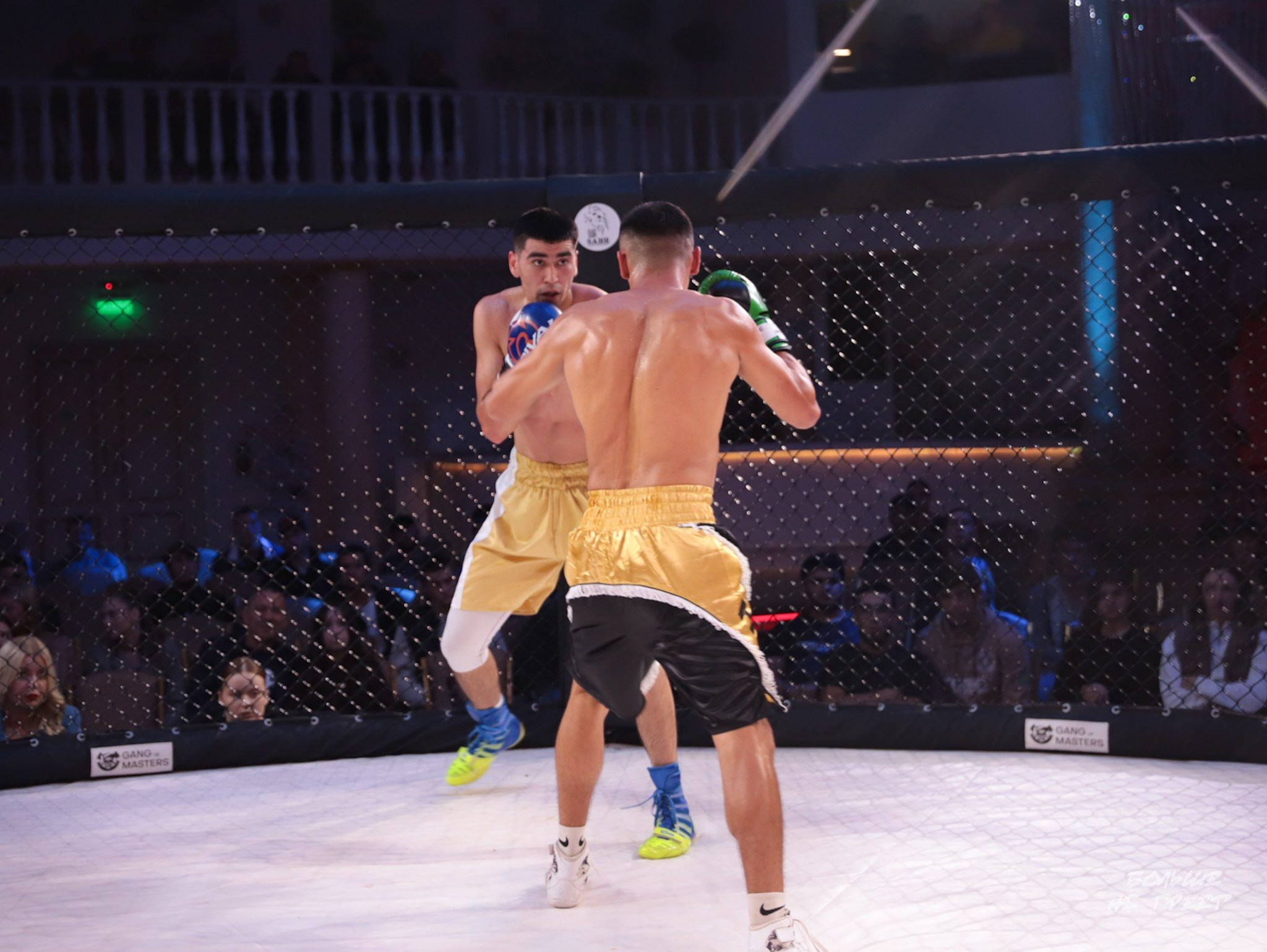 SABR FIGHTING. Больше не греет