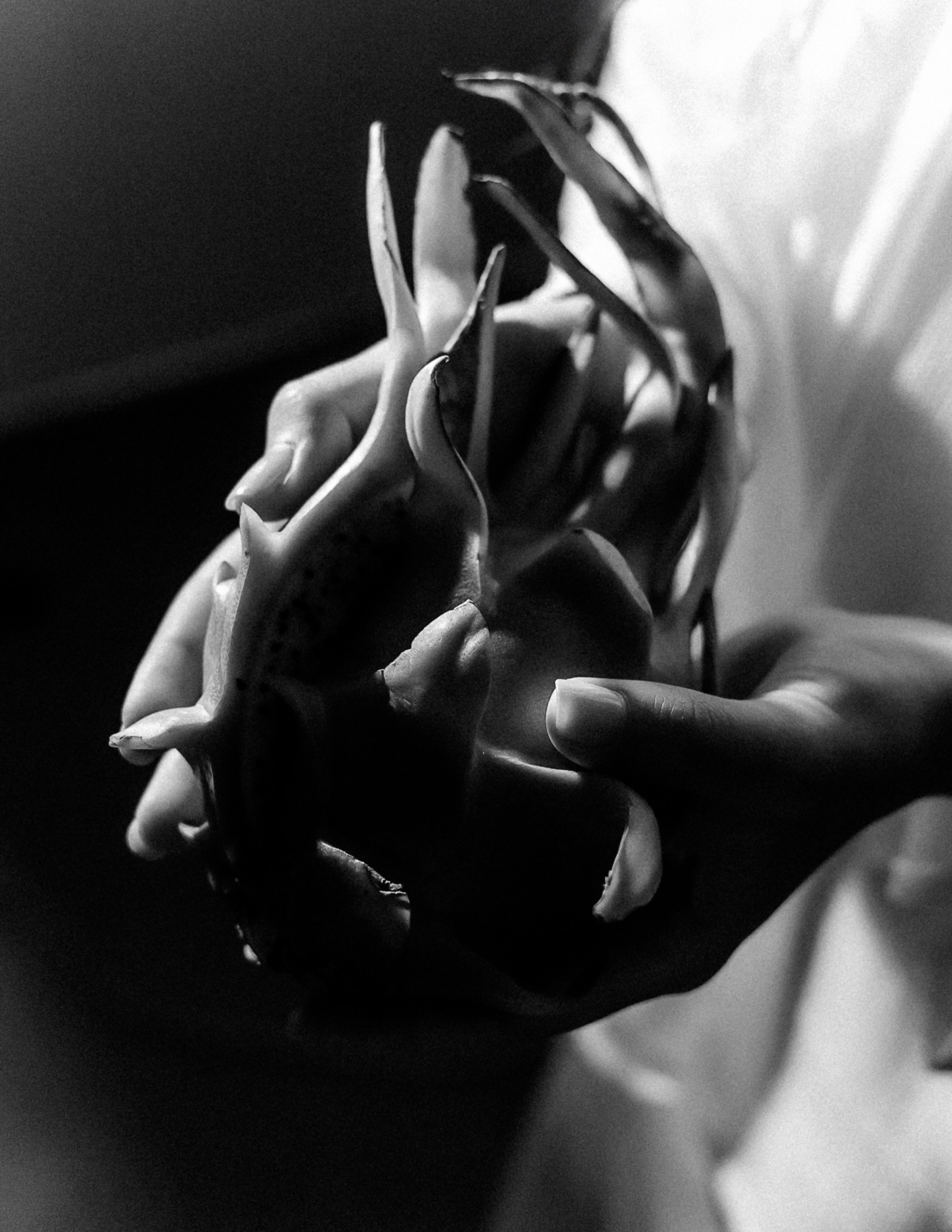 Диана. Фотограф Москва, Санкт-Петербург, Абакан