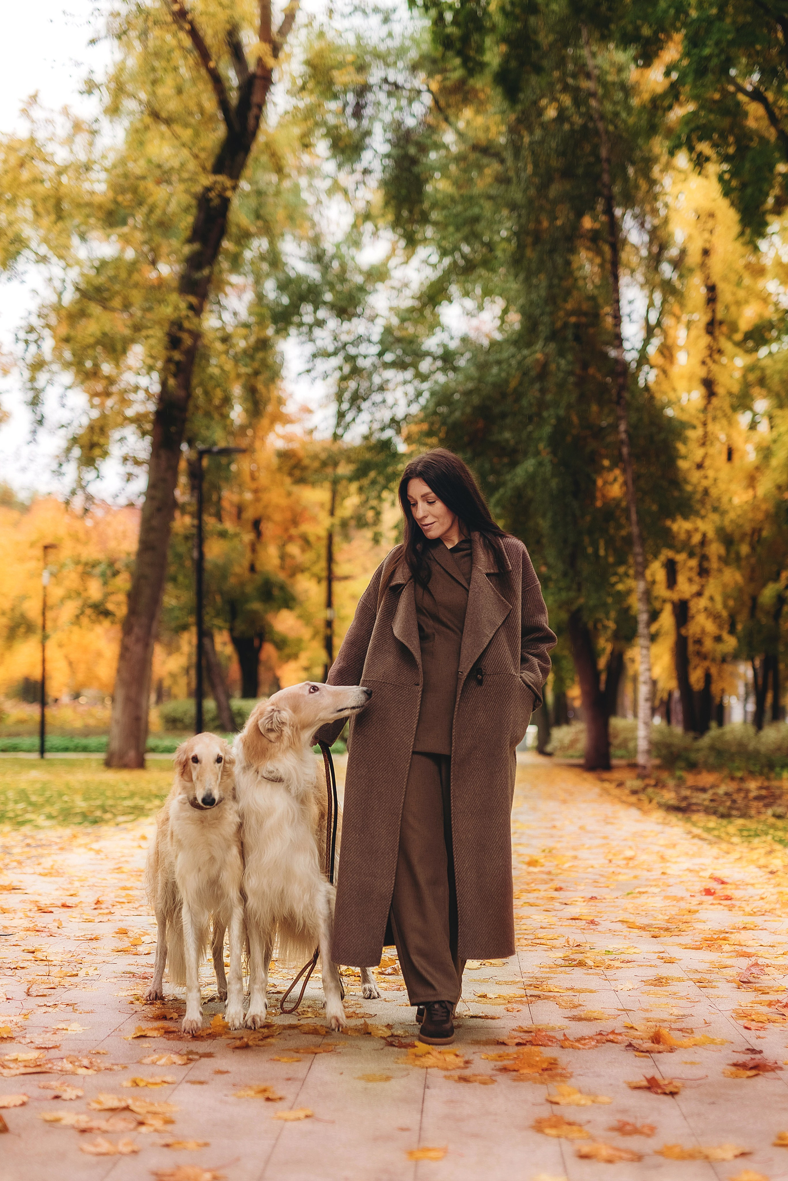 Фотосессия с борзыми. Семейный, детский фотограф в Воронеже Анна Никитина