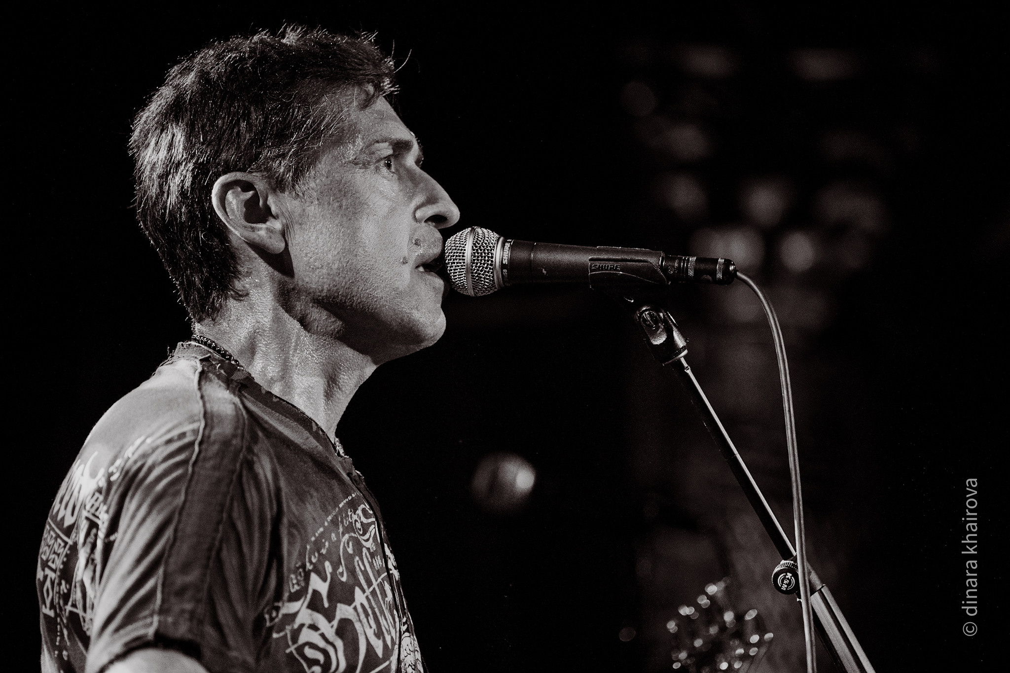 Artemy Troitsky & Nogu Svelo. Dinara Khairova