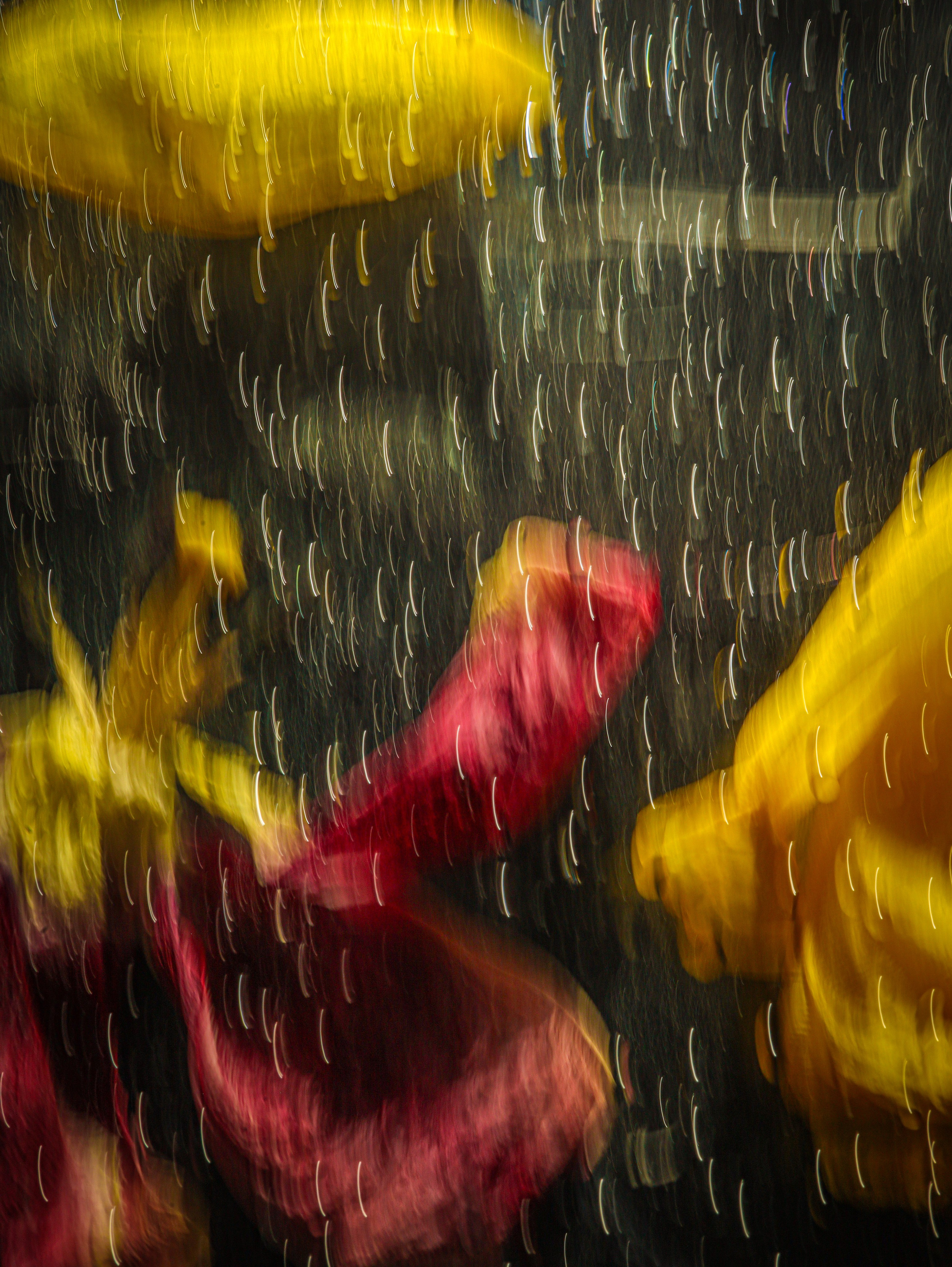 Природа &. Фотохудожник в СПб