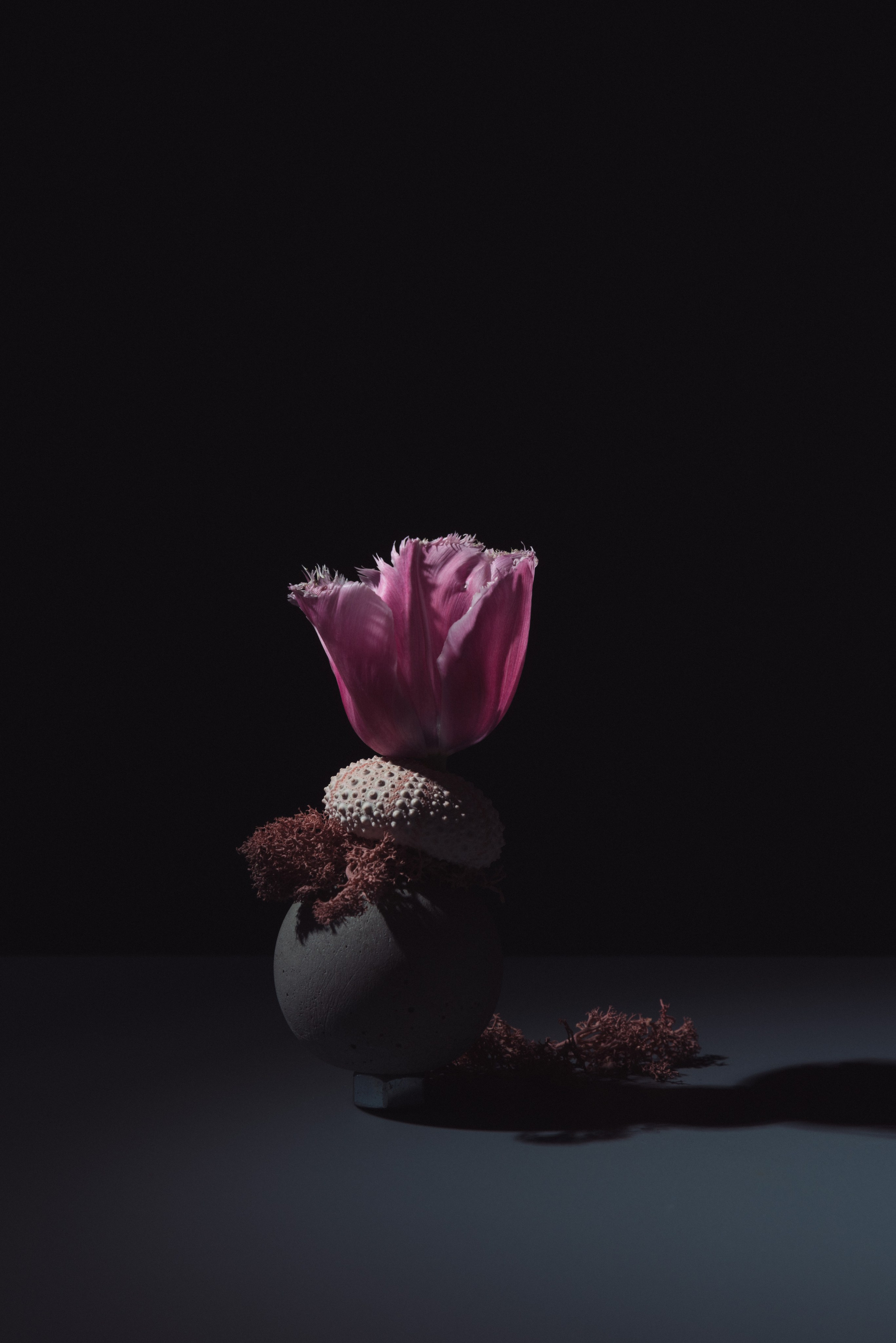 Личные проекты. Предметная фотография