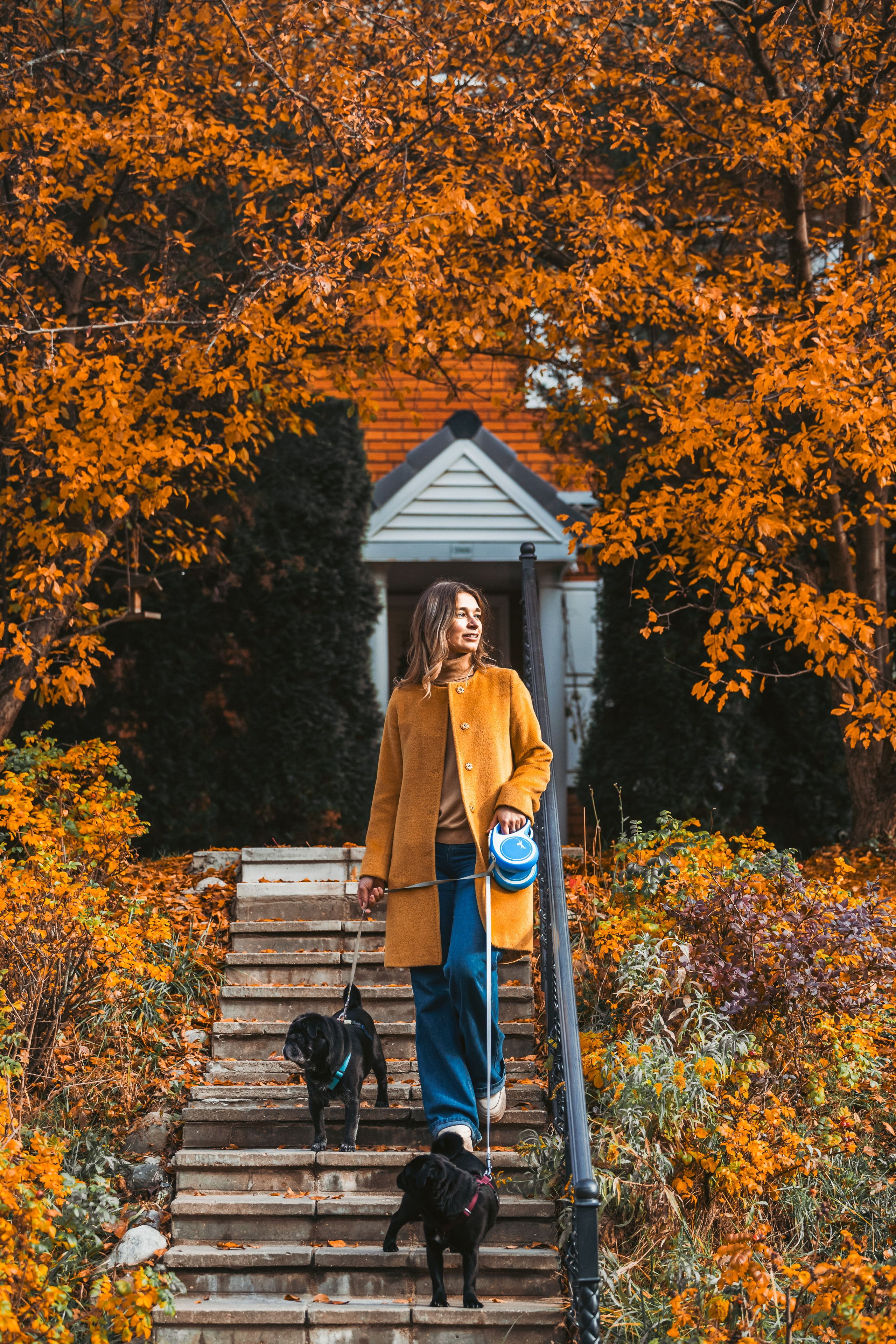 Оля, Харви, Луис. Фотограф-анималист Татьяна Степанова