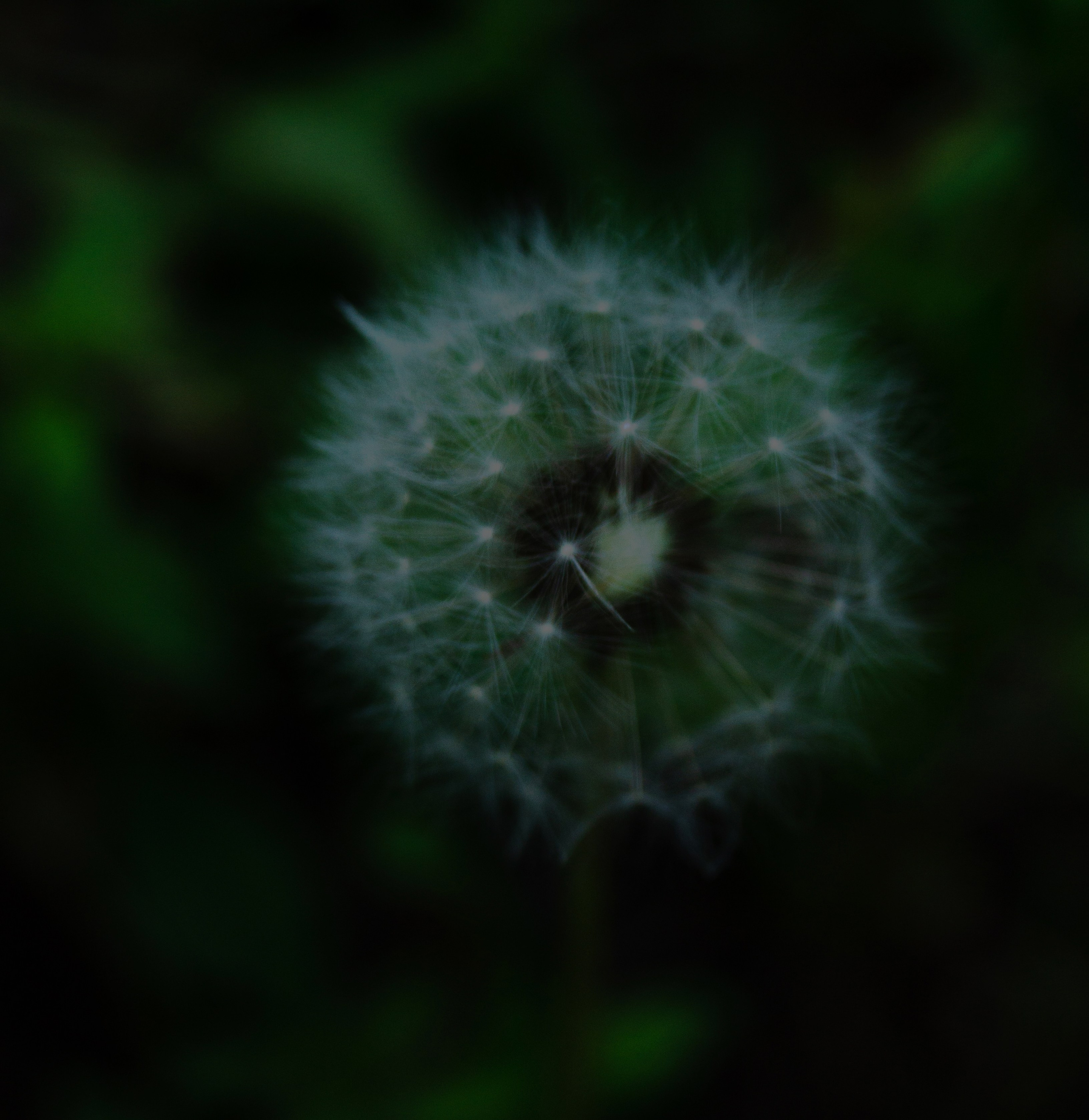 Мой ДВ. Колентеева Наталья/фотограф