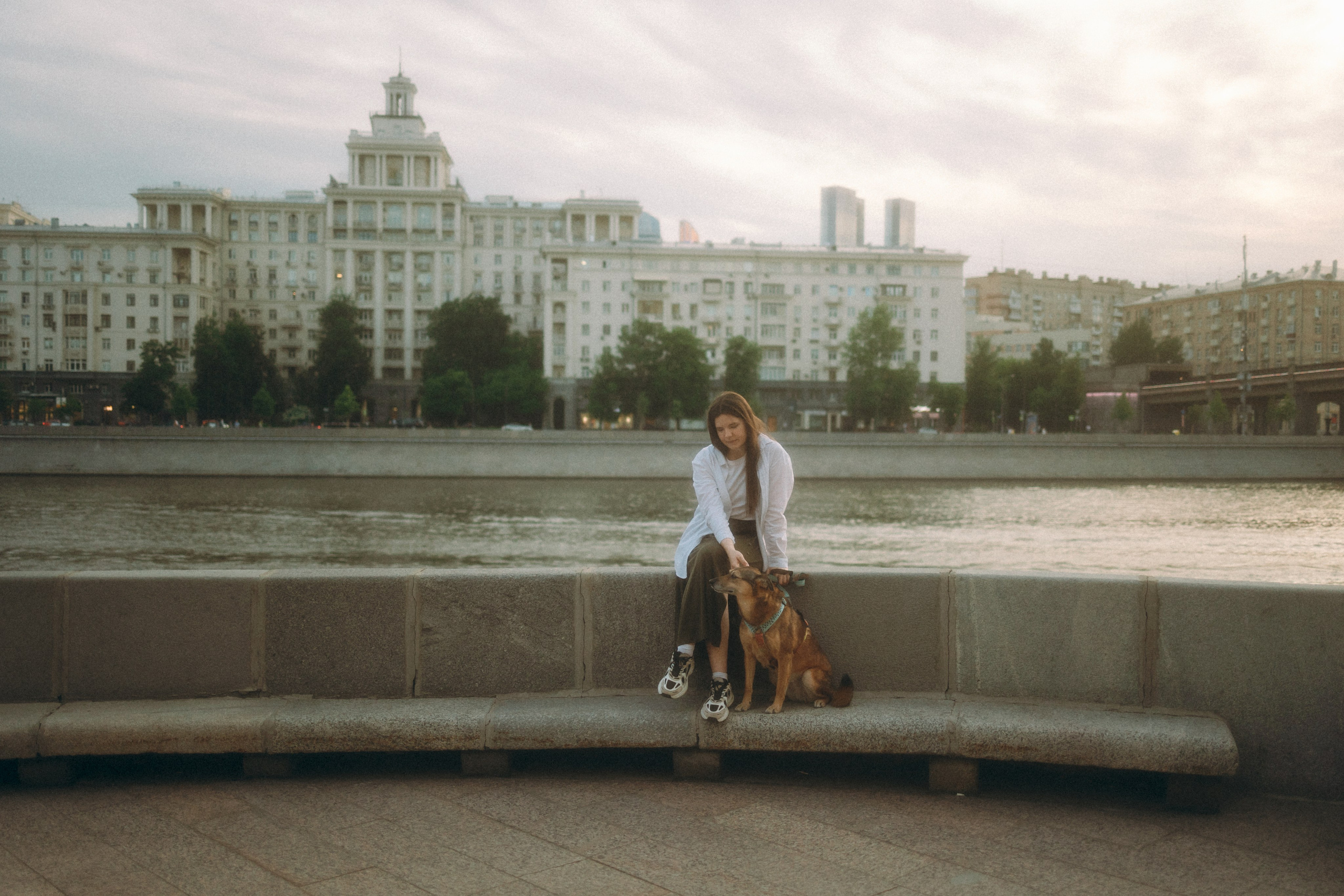 Глаша, Айрон, Ксюша и Оля. Фотограф анималист Анастасия Пикей