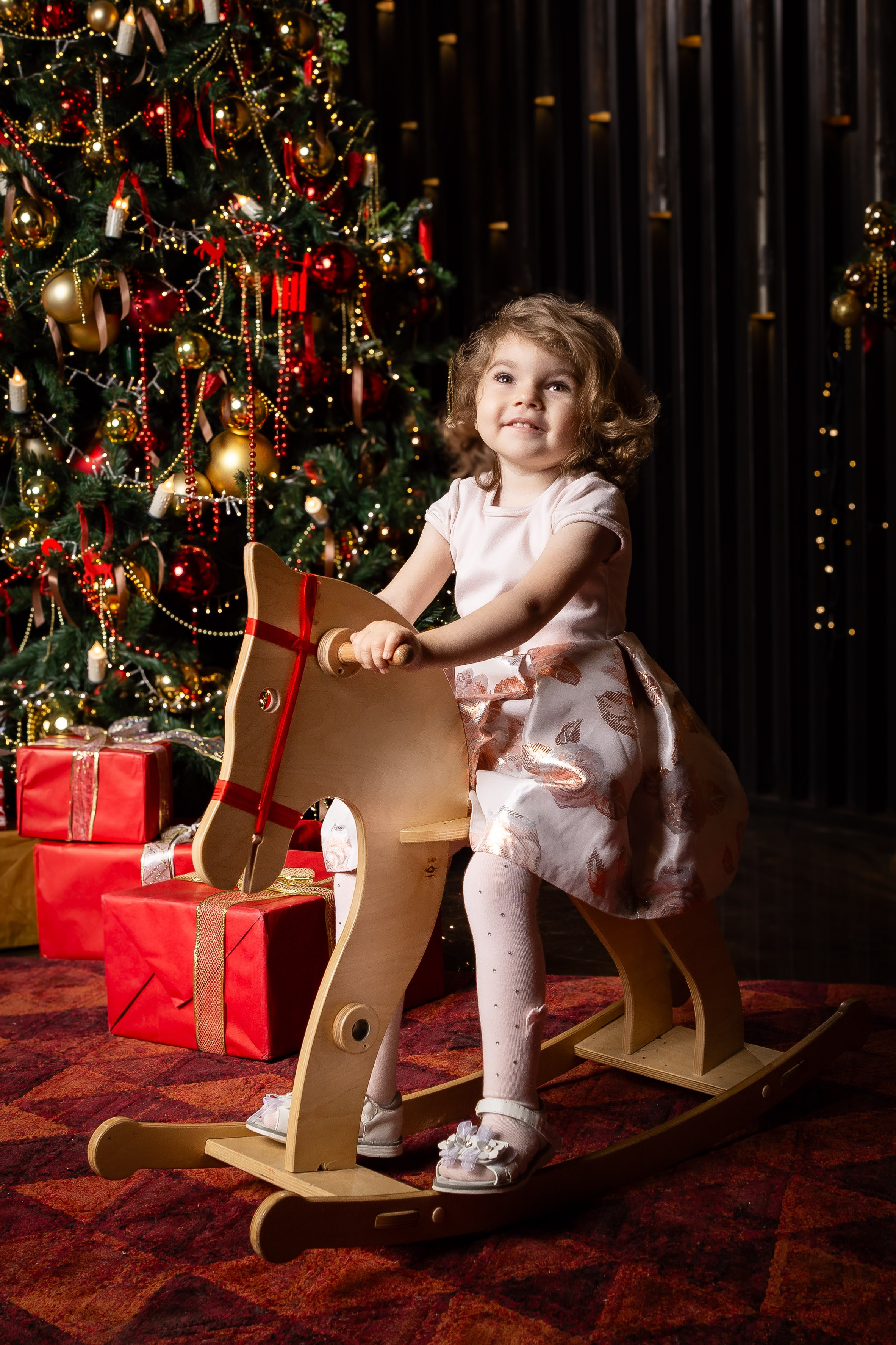 Детская и семейная. Видеограф Добромыслов