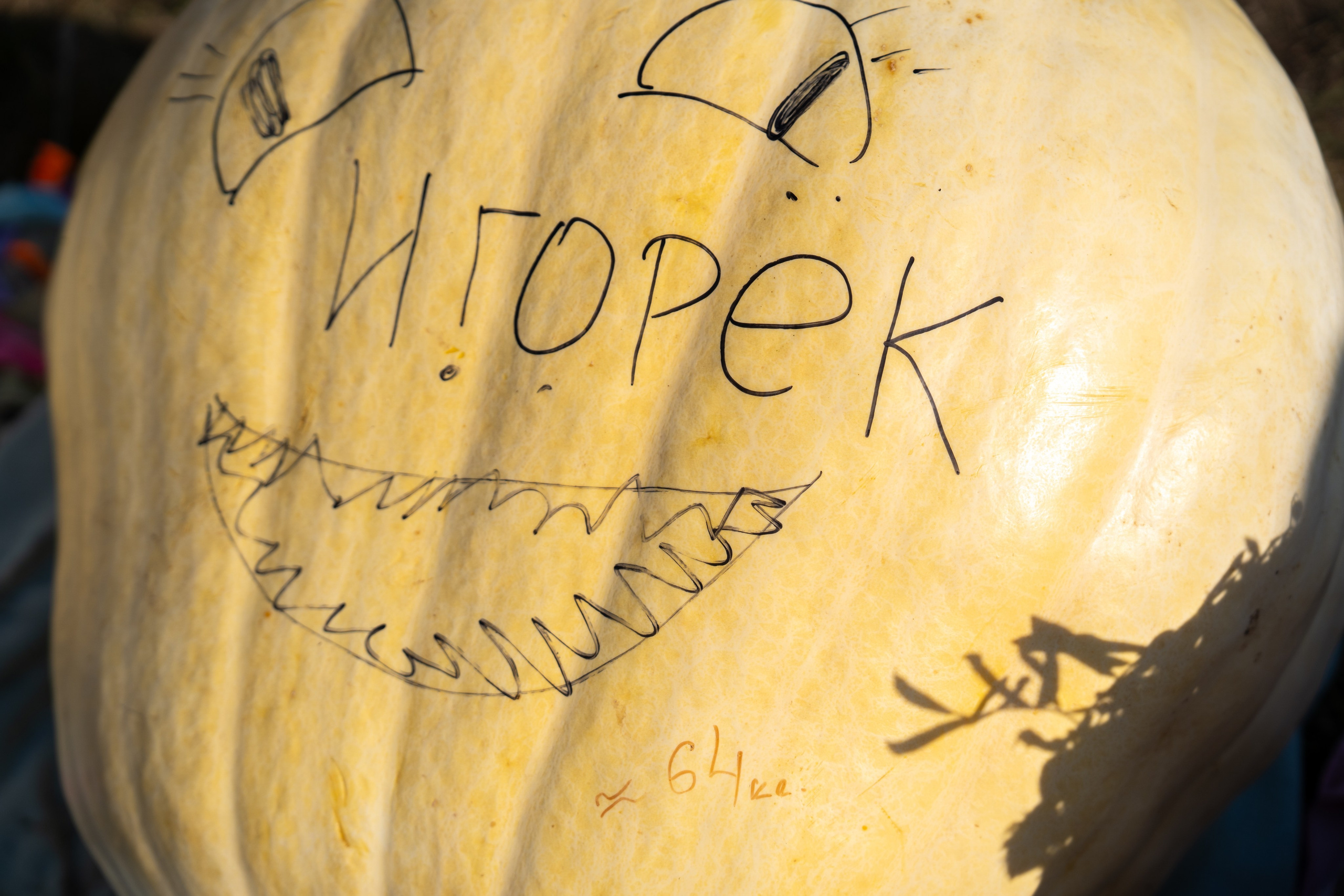 Ярмарка. Фотограф Наталья Сорока Ижевск