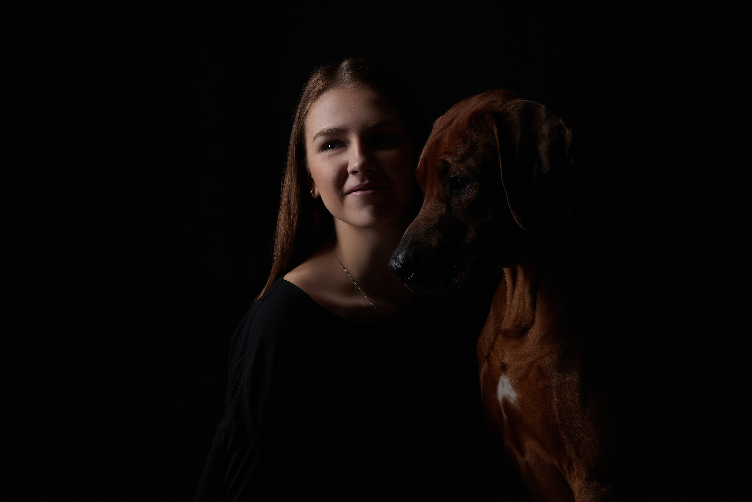 Фотосъемка в студии родезийский риджбек