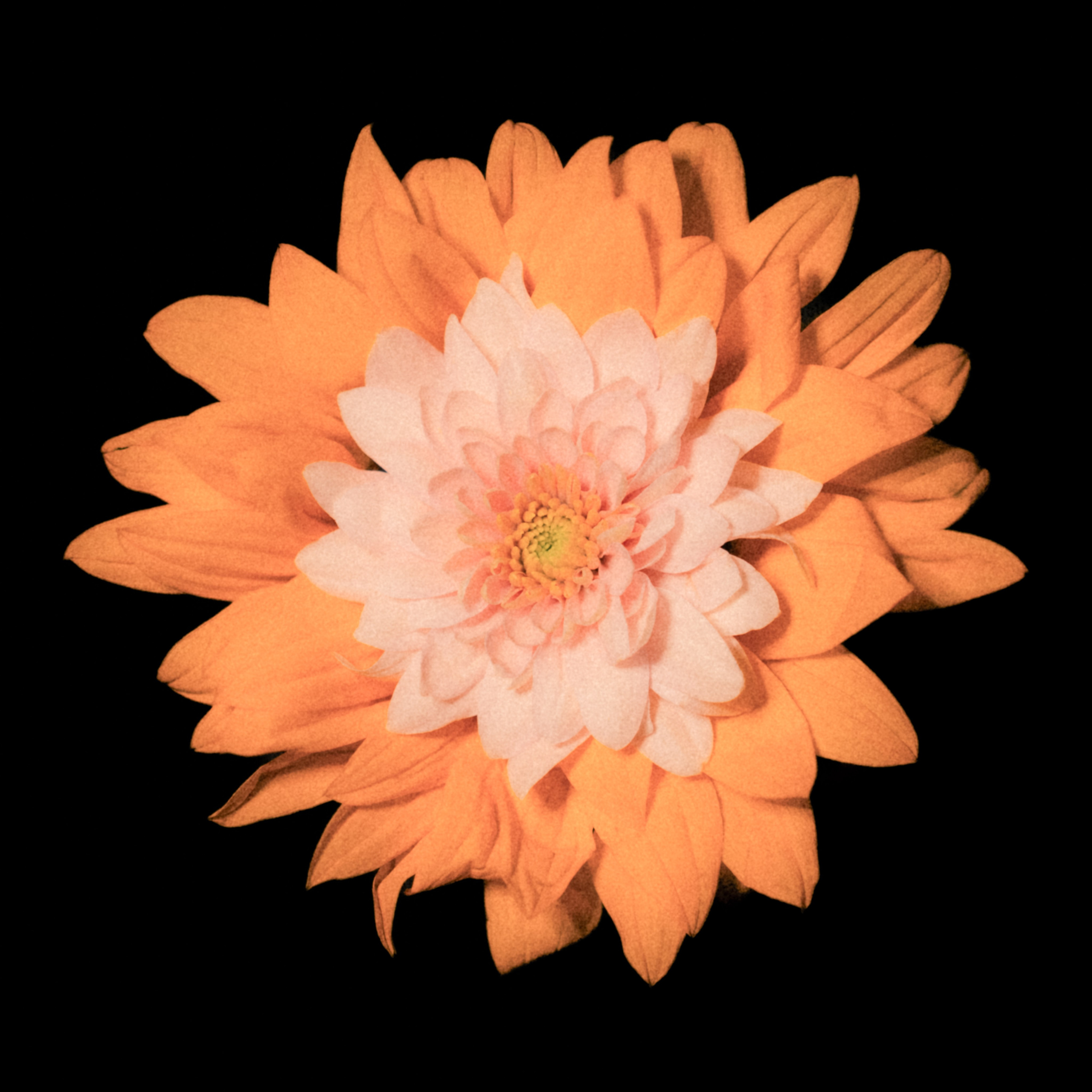 Единство (серия). Мистические фотосессии в Санкт-Петербурге от мистика Ильи Шенгелия