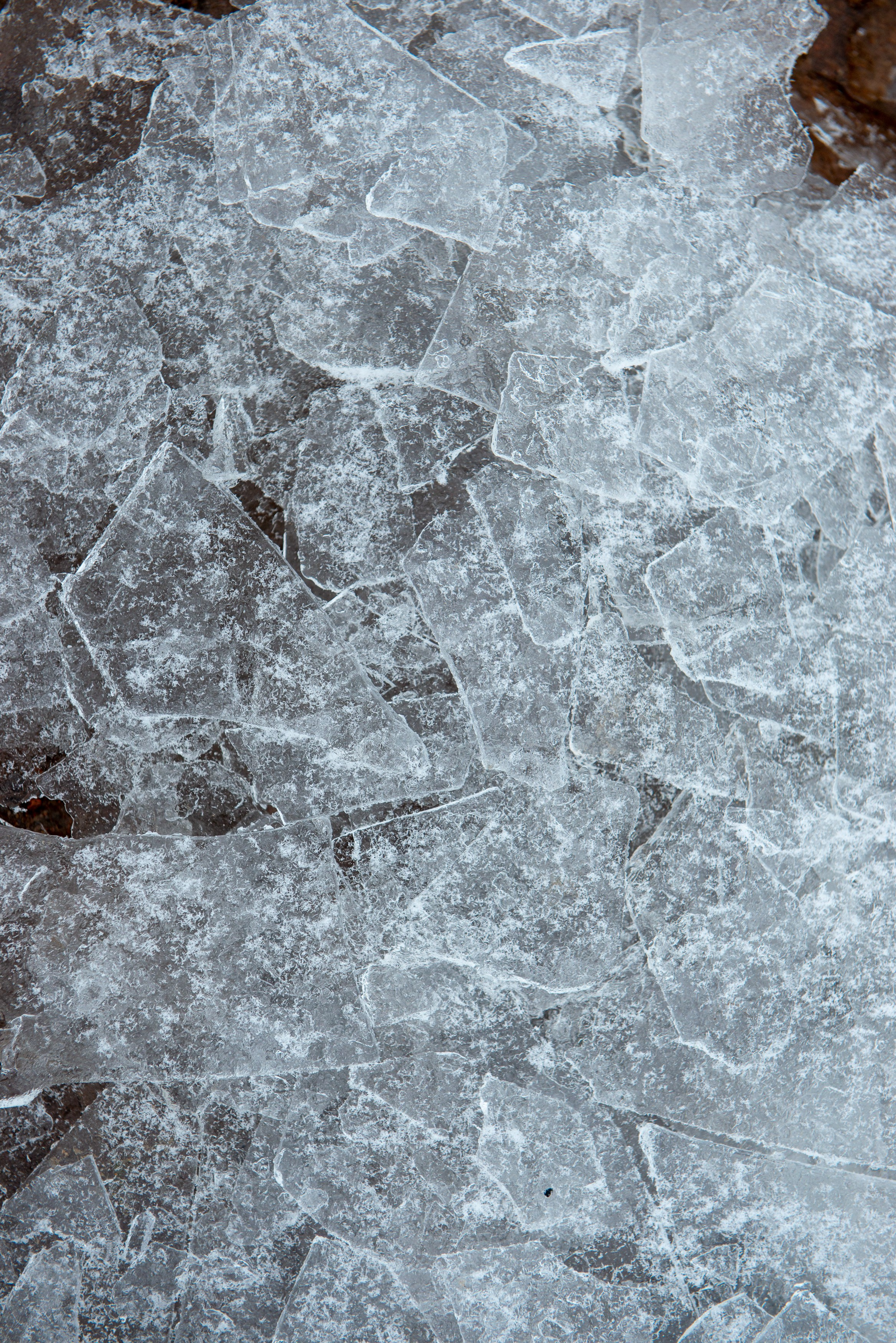 Landscape, nature, plants, details of the world around us. Personal website of photographer Dmitry Raikin