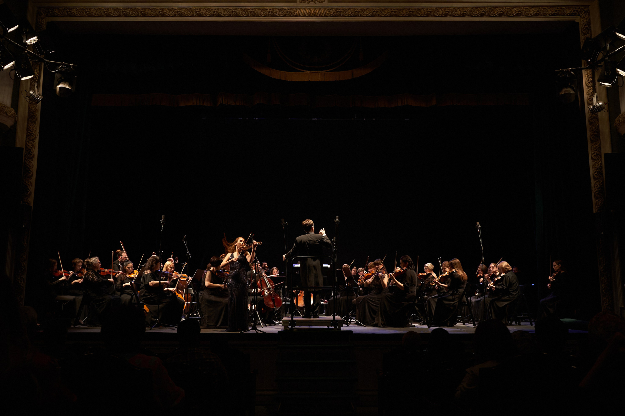 Дарья Погарская