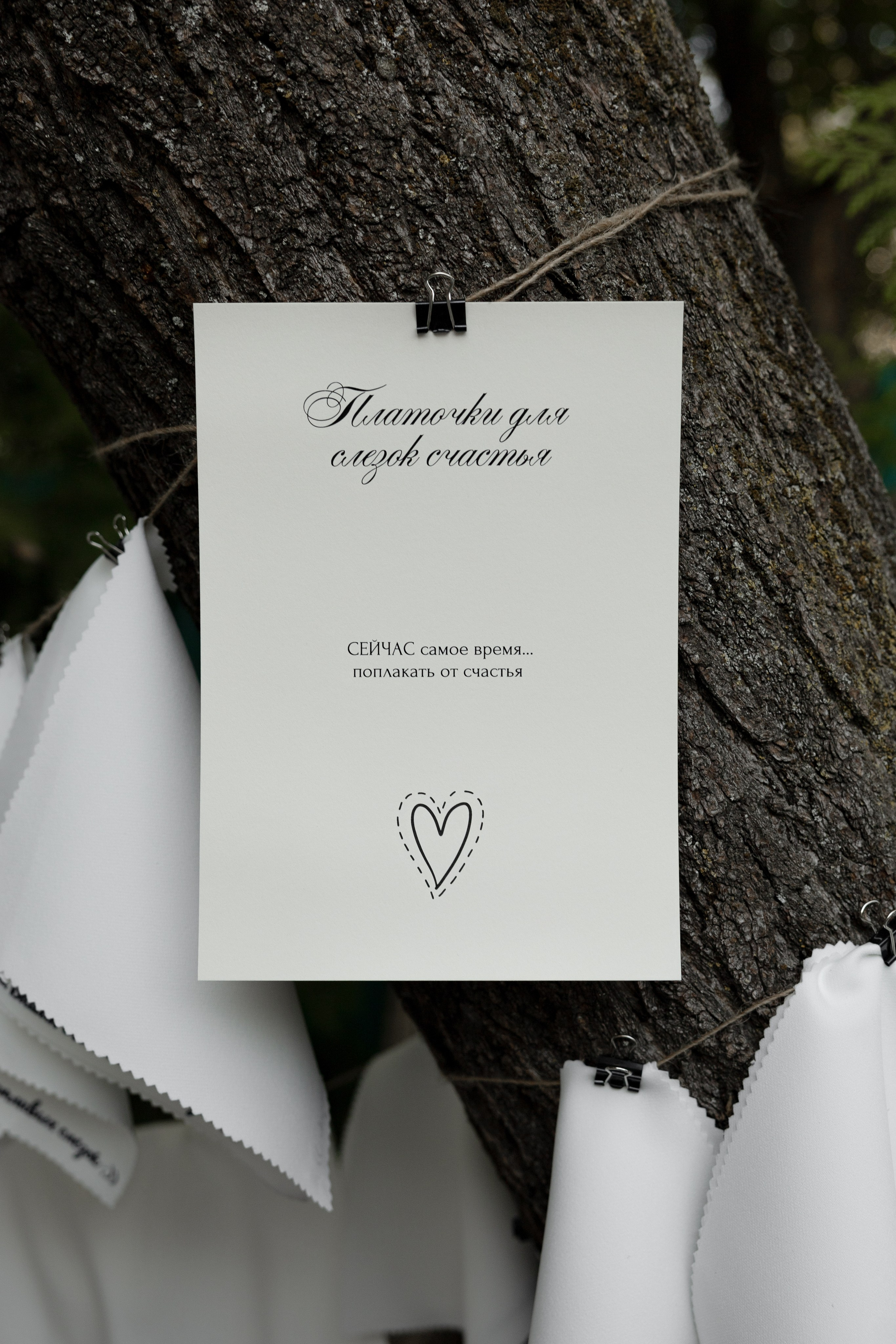 N + N. Фотограф Краснодар | Москва | Санкт — Петербург Куценко Диана