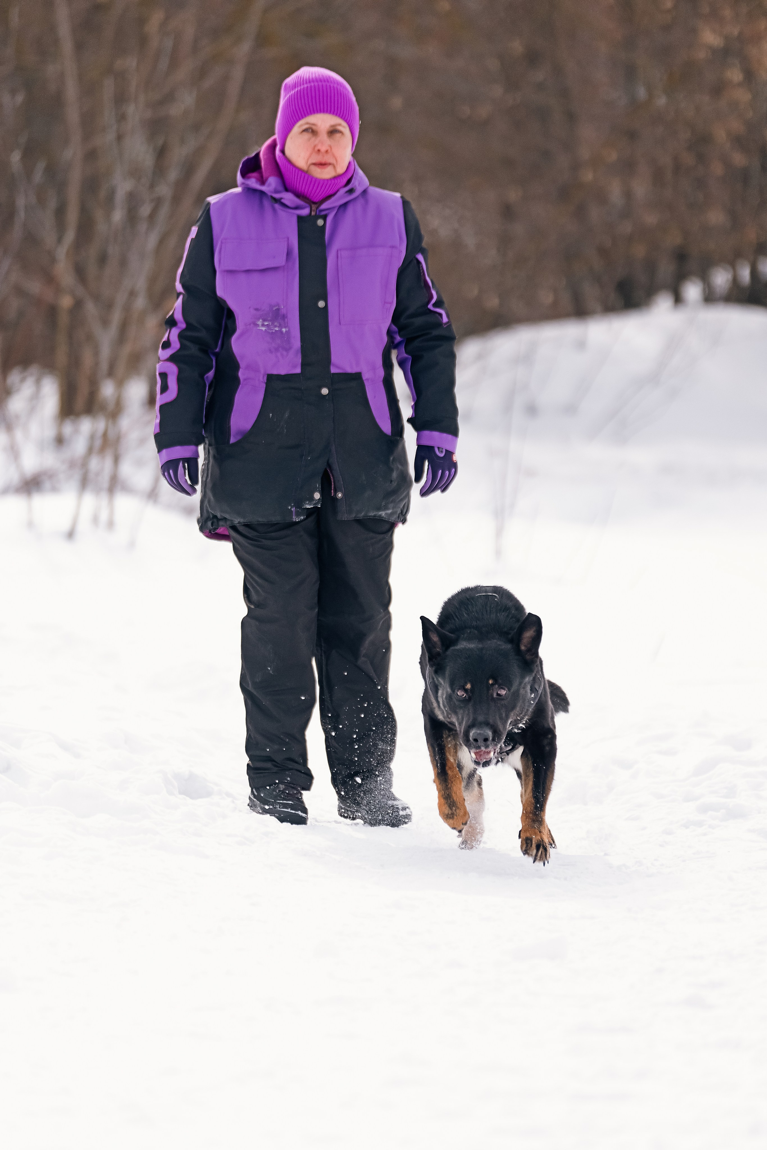 Репортажная съемка. Фотограф-анималист Нижний Новгород