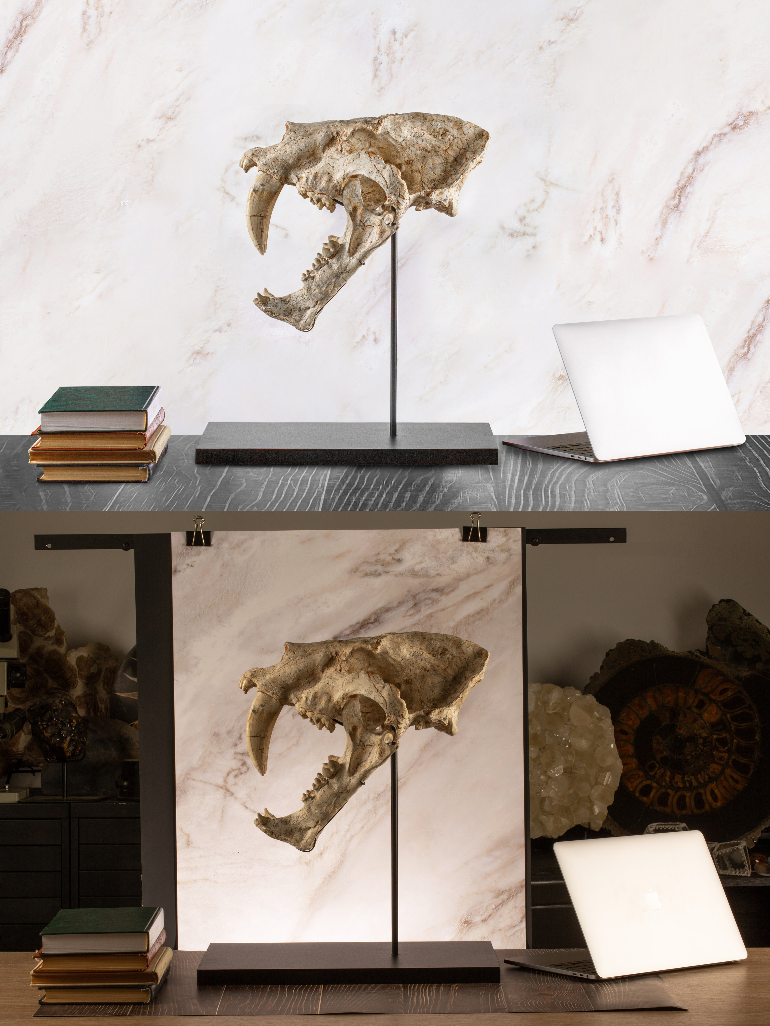 Предметы коллекционирования