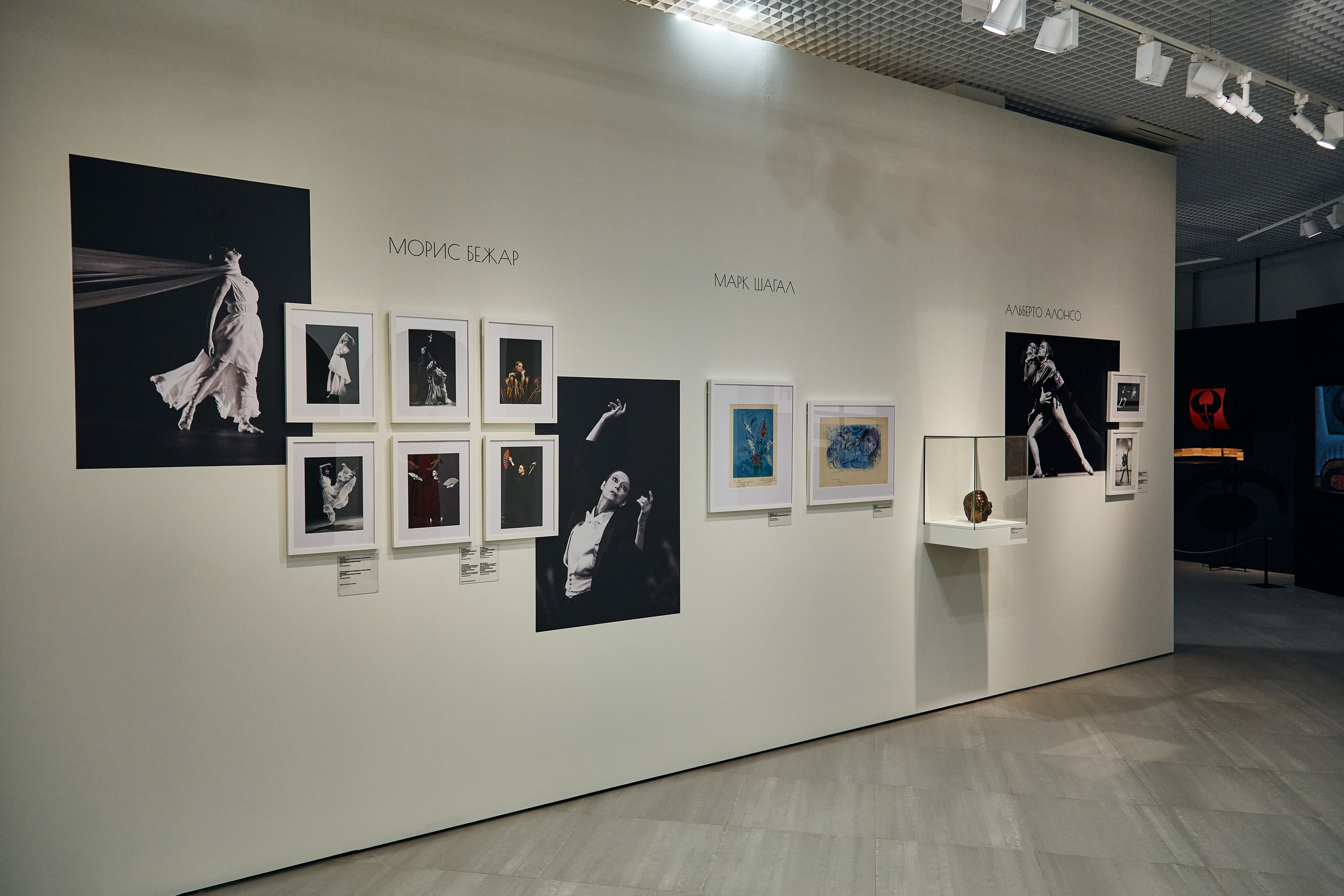 Выставка «Майя Плисецкая. Полюс магии». Даниил Гузиенко — репортажный фотограф в Туле