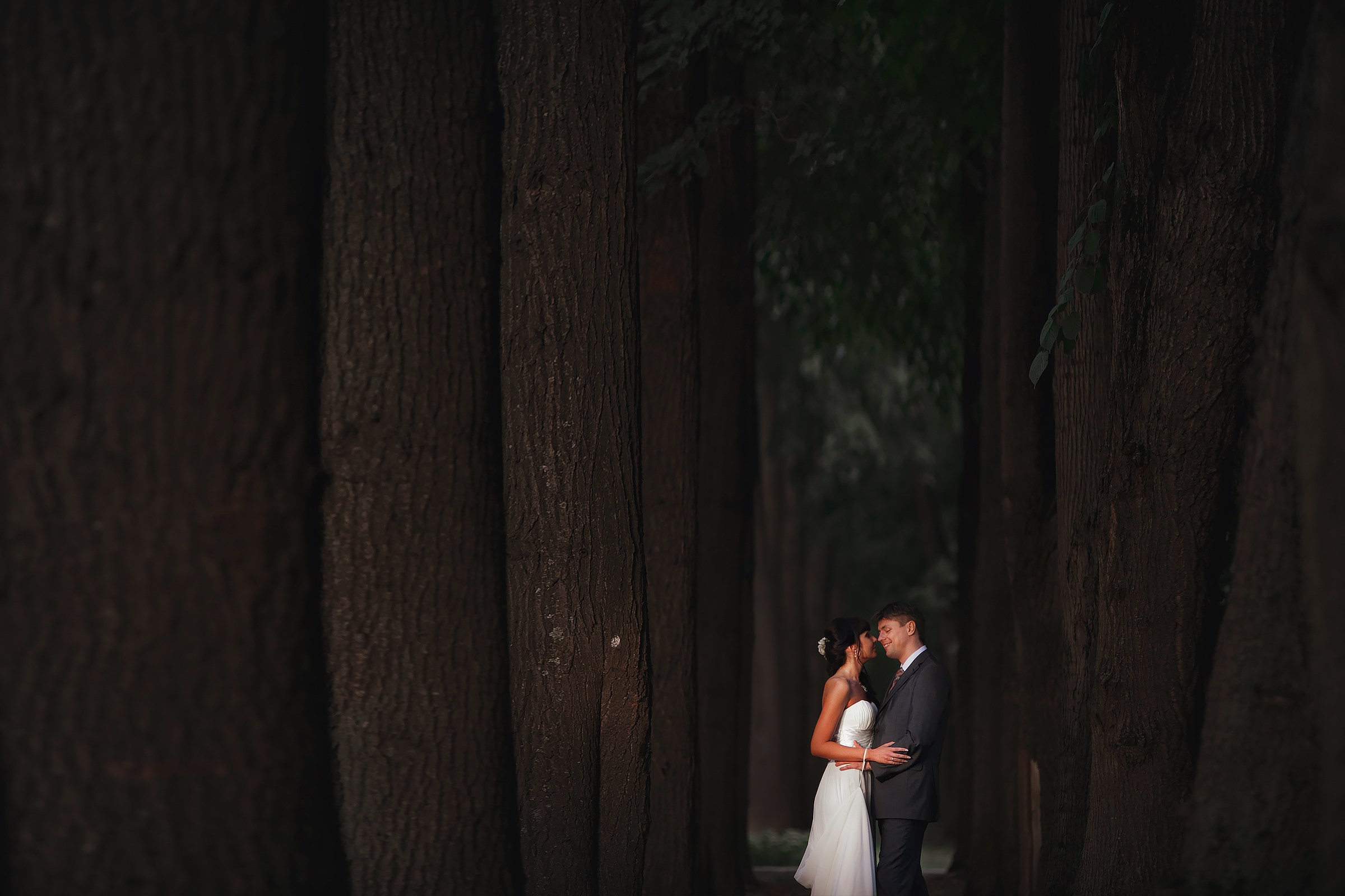 Свадебная фотография. Павел Иванов. Создание профессионального медиаконтента. Москва