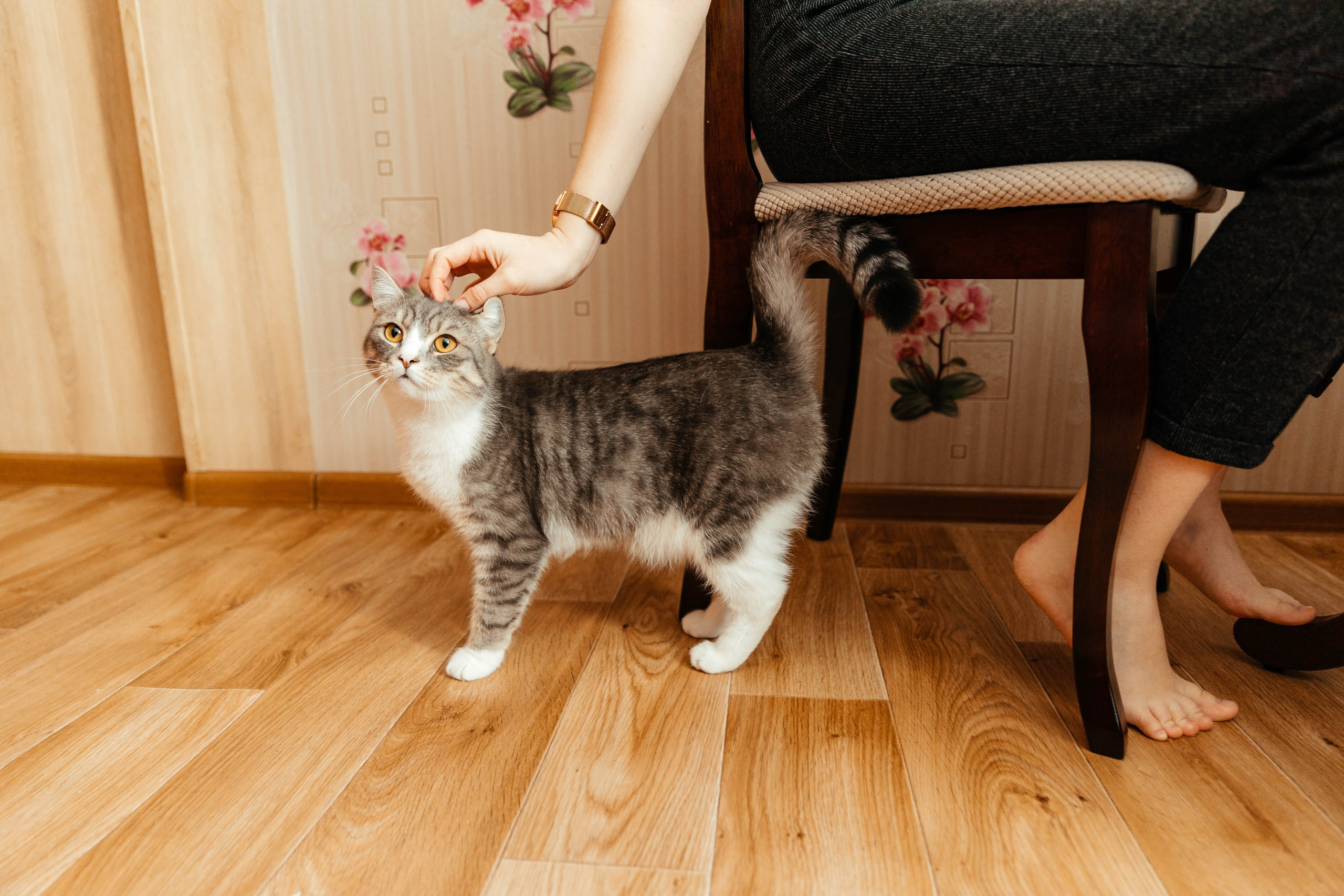У мамы дома. Семейный и свадебный фотограф Лилия Матонина | Ангарск, Иркутск, Усолье-Сибирское, Байкал (Листвянка, Ольхон), Иркутская область