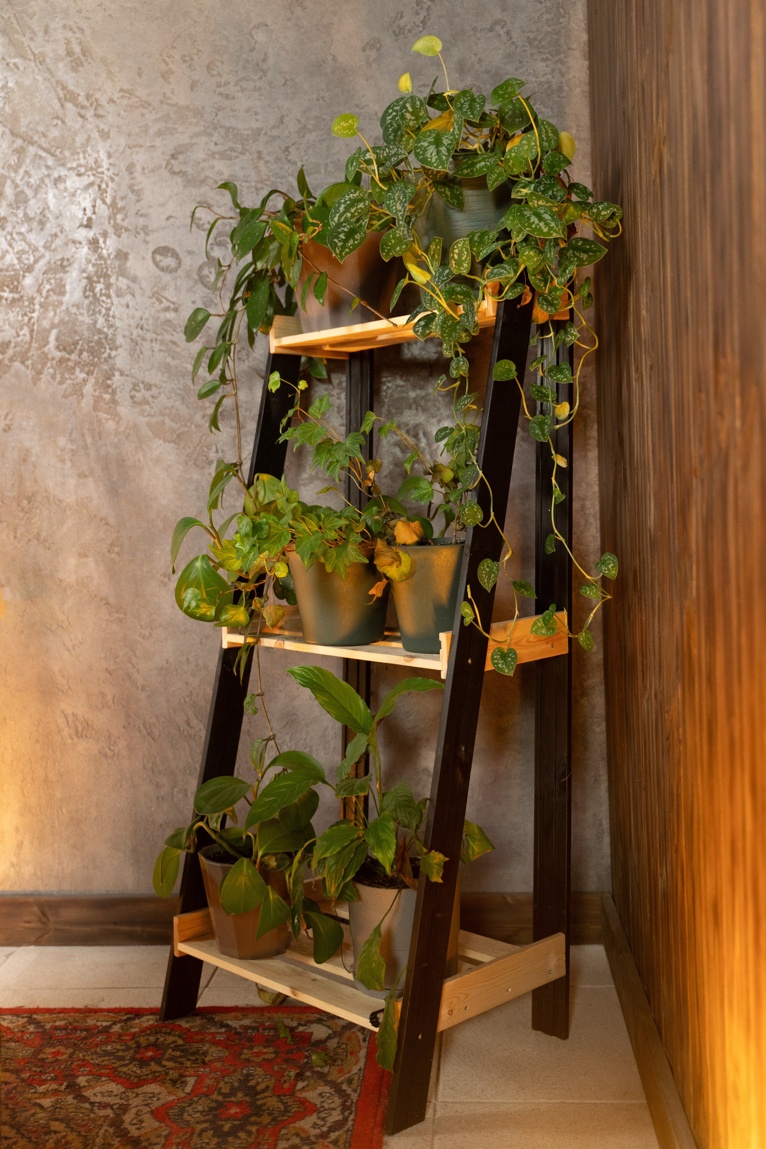 Интерьерная. Kamelia Candy фотограф Самара/ Москва