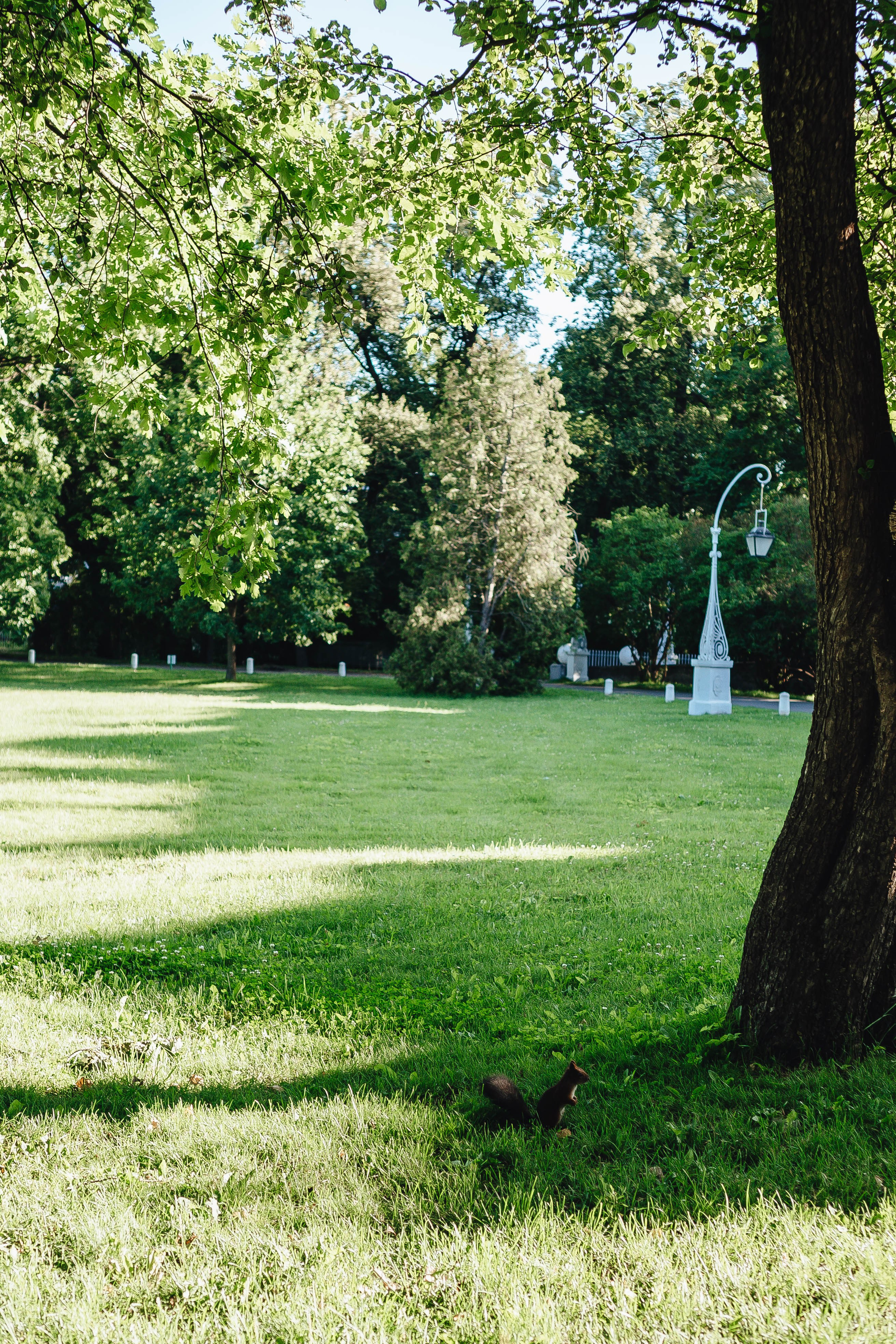 СВАДЕБНАЯ СЬЕМКА НА РАССВЕТЕ НА ЕЛАГИНОМ ОСТОРОВЕ. Профессиональный фотограф, Санкт-Петербург — Виктория Богомолова