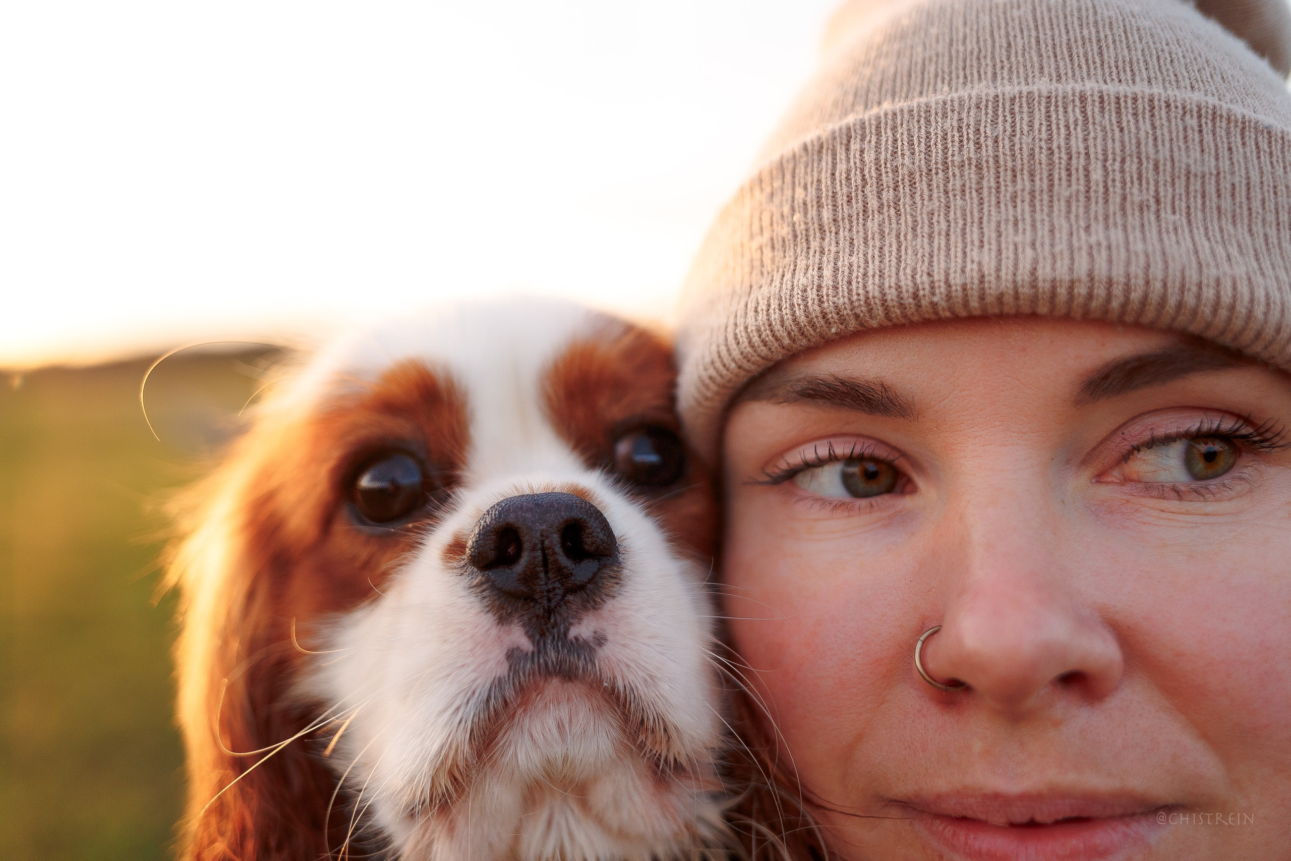 Октябрьский закат в полях. Алина и Лео. Фотограф-анималист Наталия Чистюхина в г. Сосновый Бор и ЛО