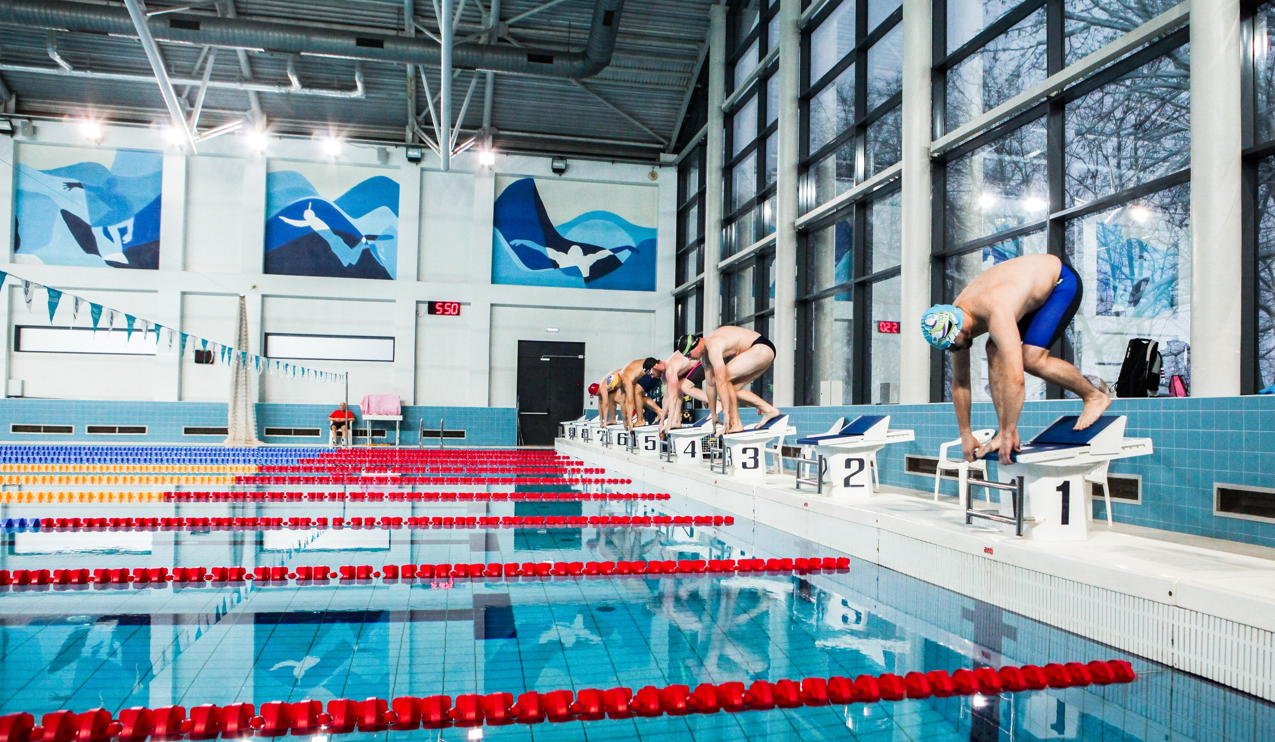 Соревнования по плаванию. Репортажный, семейный, свадебный, портретный фотограф