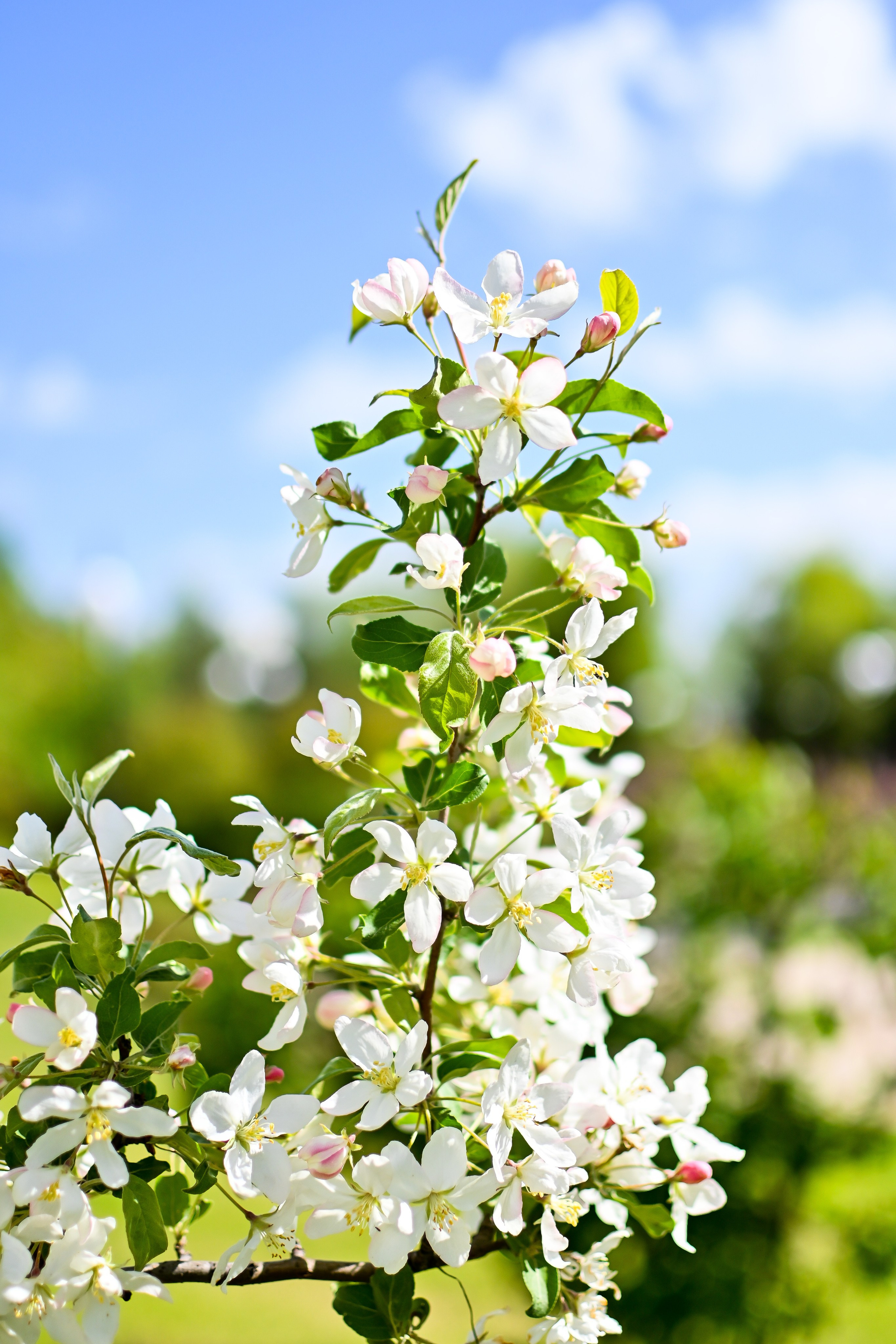 ИСТОРИИ СЪЕМОК. Фотограф для бизнесконтента, репортажей и семейного альбома в Москве