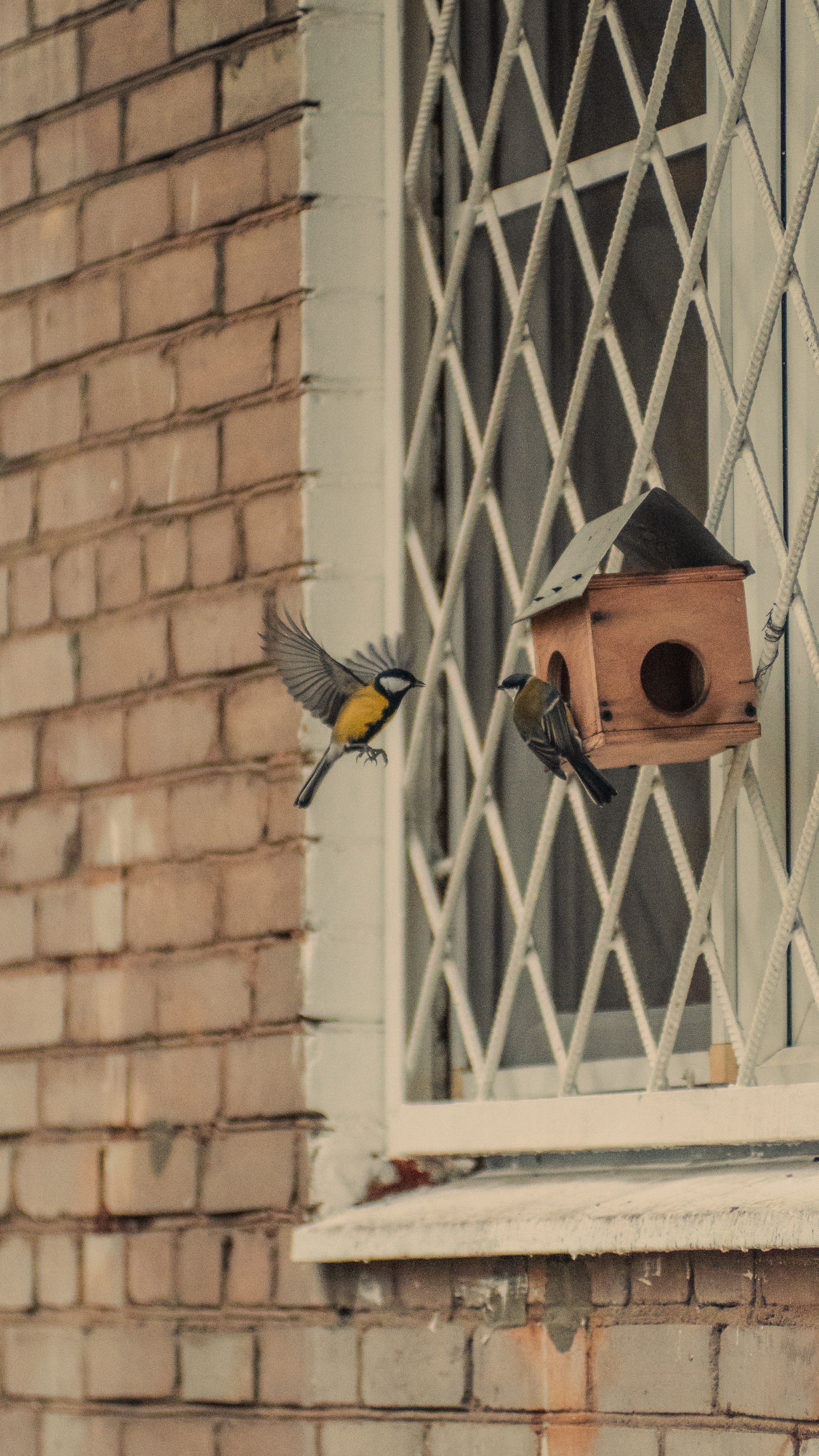 Autumn mood. MadGoose — Street photographer