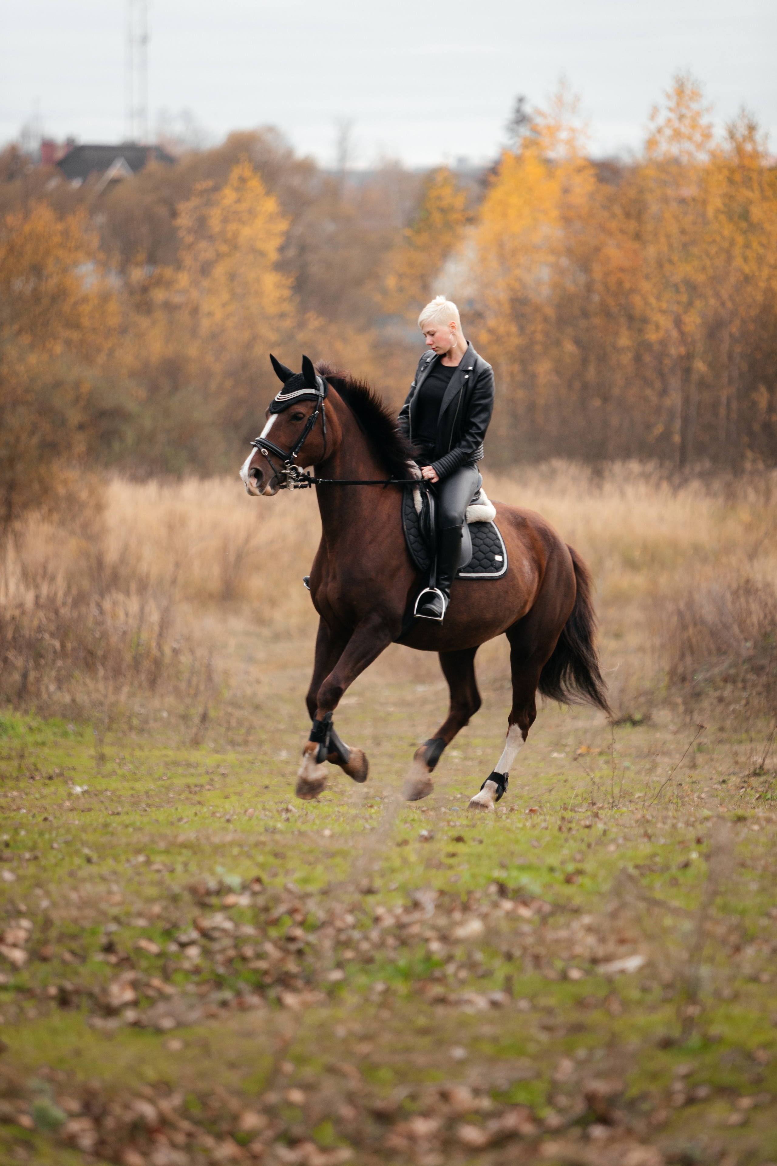 История на конюшне. Фототерапевт Ева Бунеева