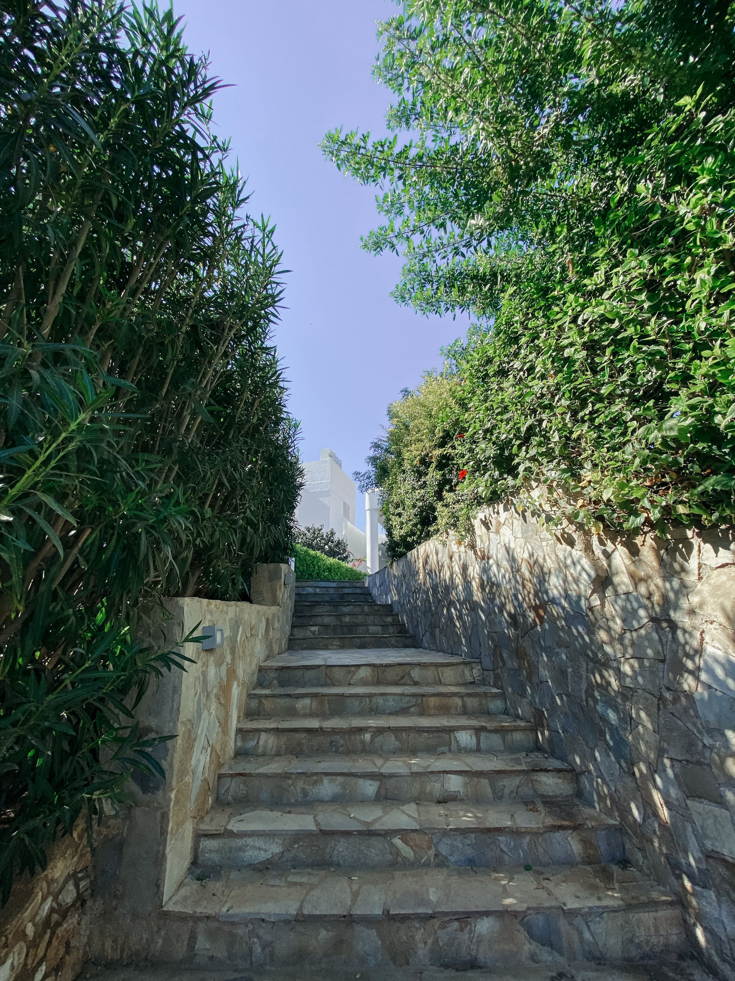 Iphone. Photographer in Turkey — Dari N