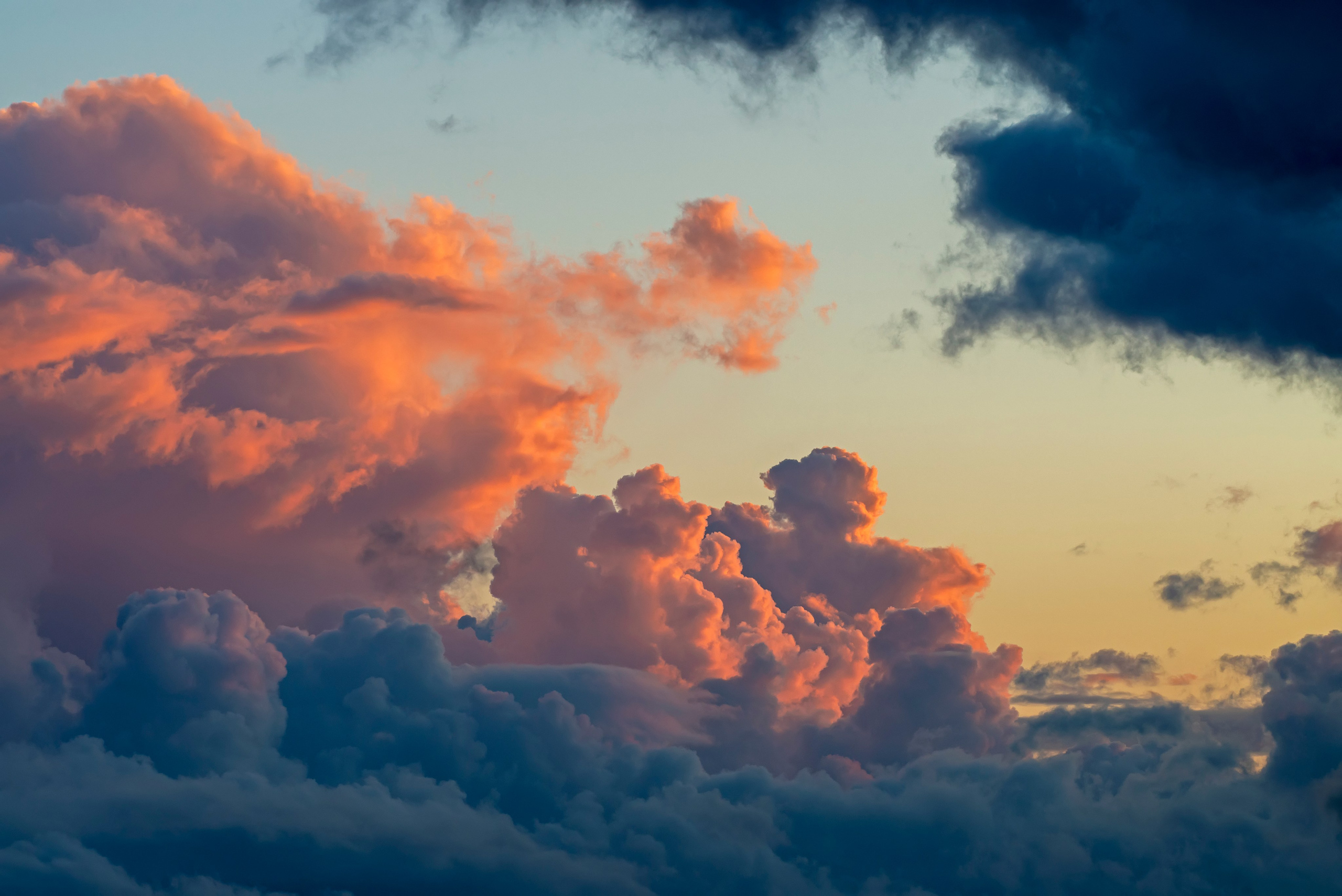 ПРИРОДА. От прошлого к будущему авиации через фотографию