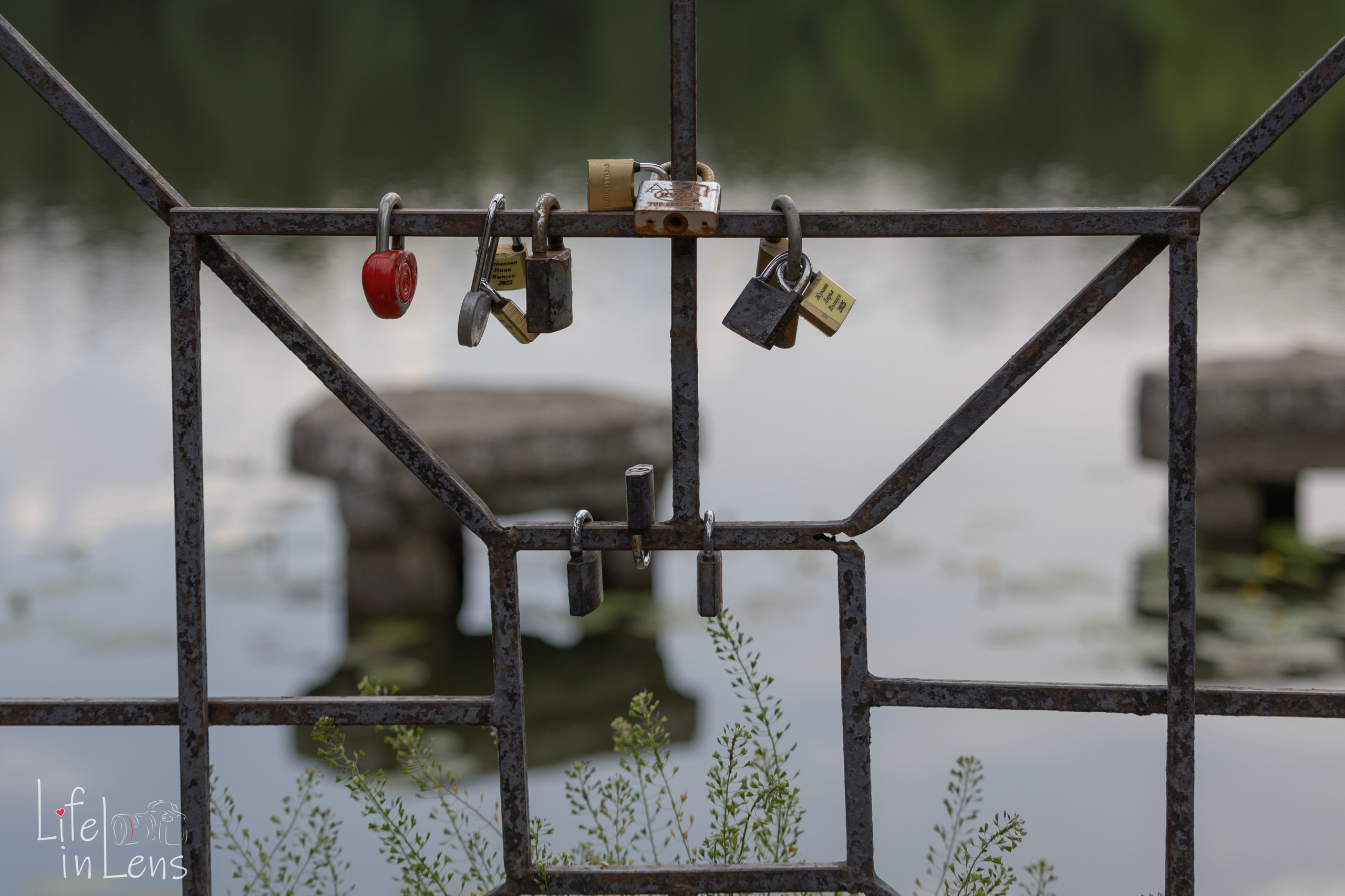 Парк Кузьминки. Фотограф, получающий удовольствие от своей работы