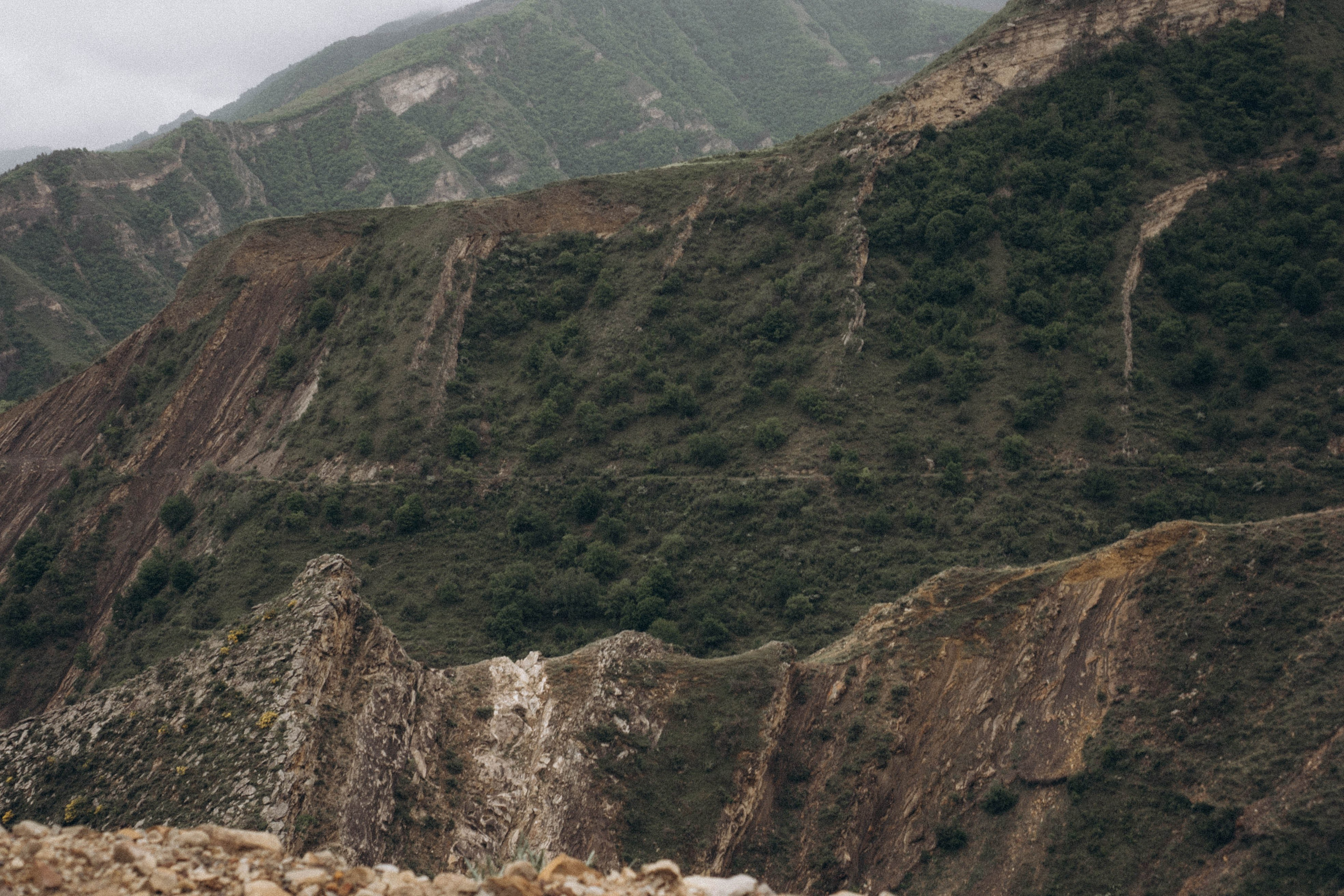 Кавказ. Профессиональный фотограф, Санкт-Петербург — Виктория Богомолова