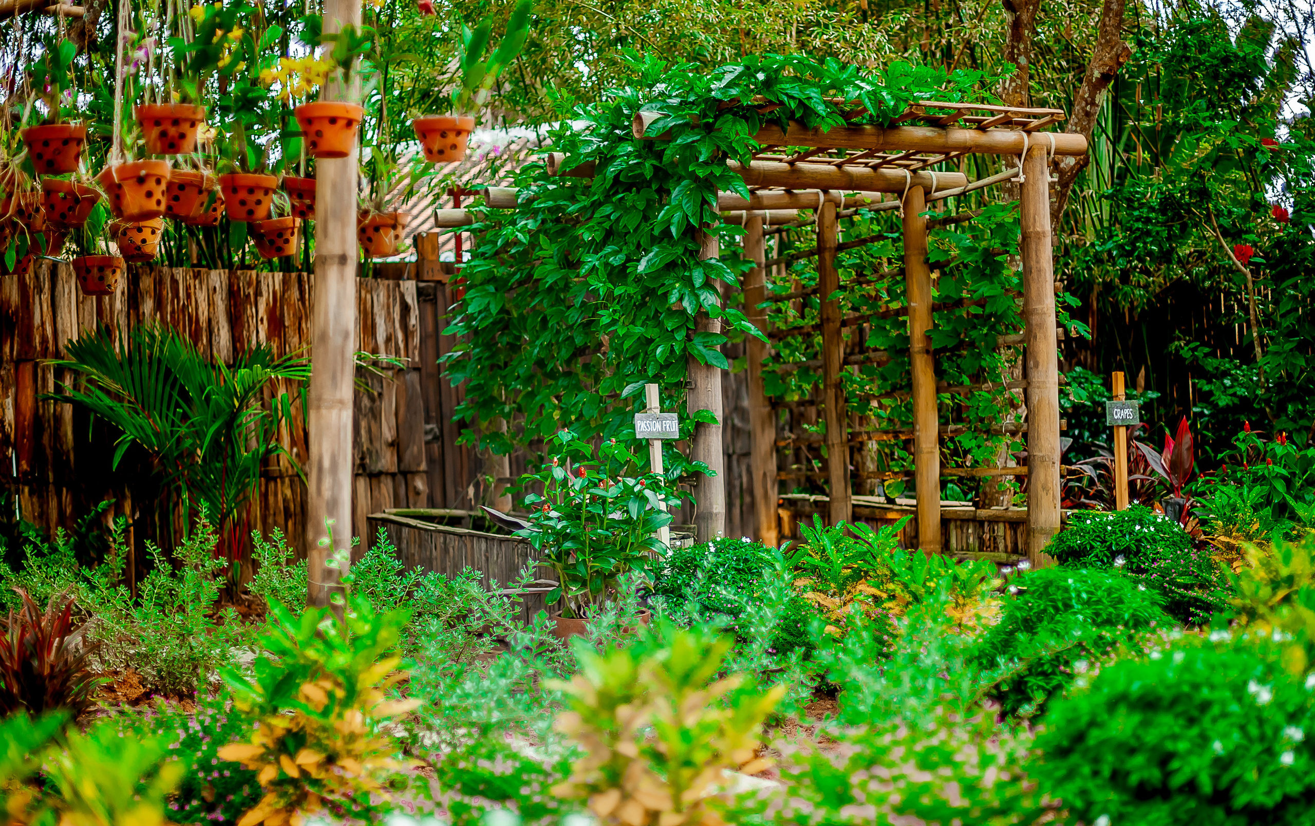 Репортажный фотограф Ялта. Репортажный фотограф Ялта