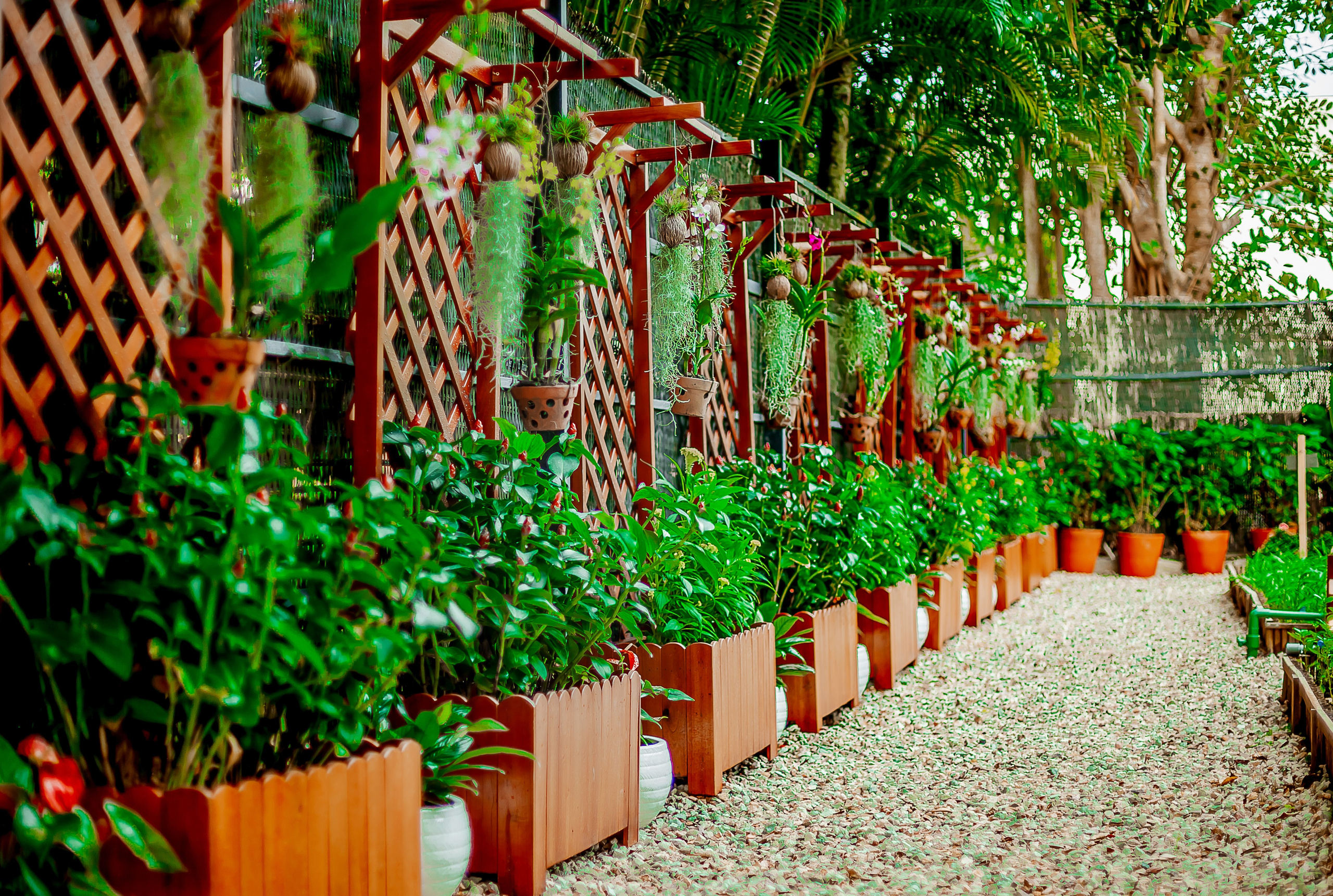 Репортажный фотограф Ялта. Репортажный фотограф Ялта