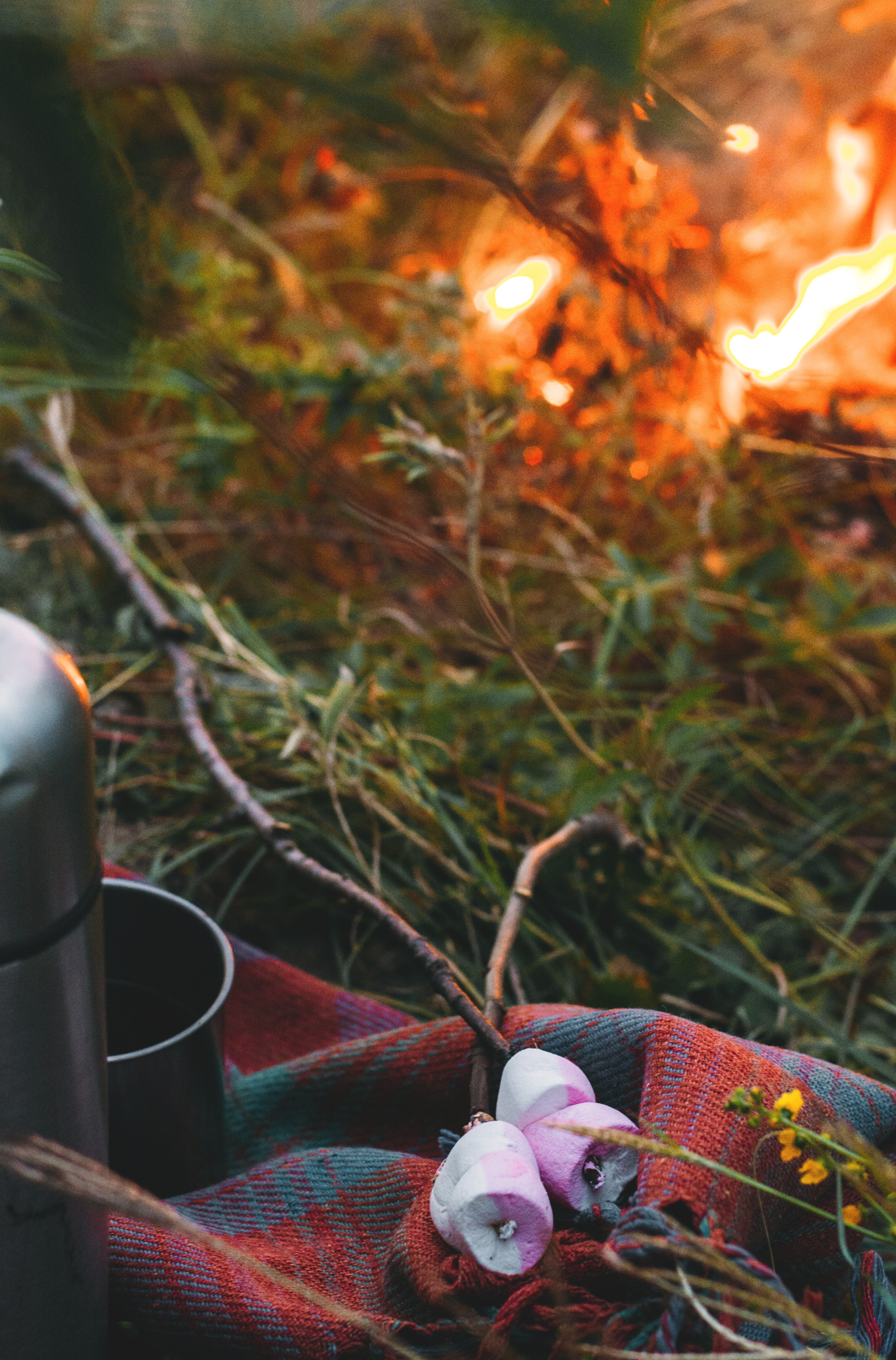 У костра. Фотограф Ким Ангелина