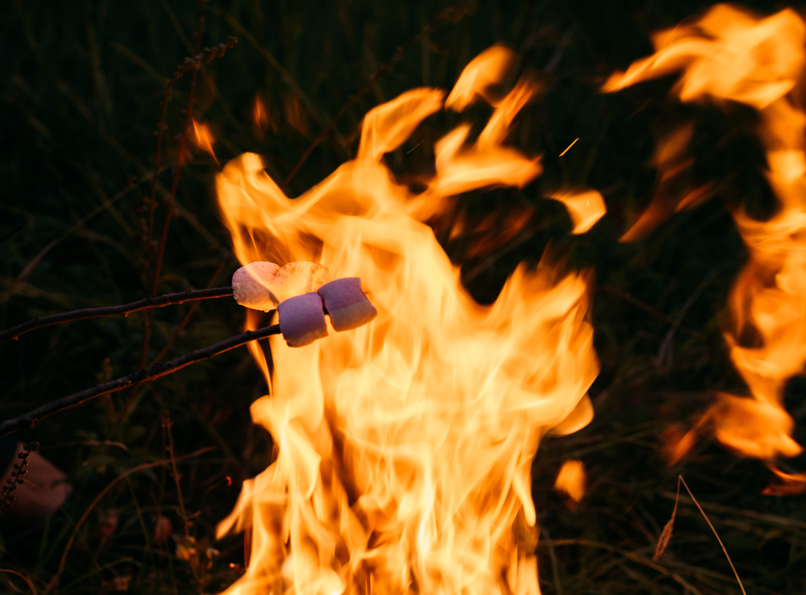 У костра. Фотограф Ким Ангелина