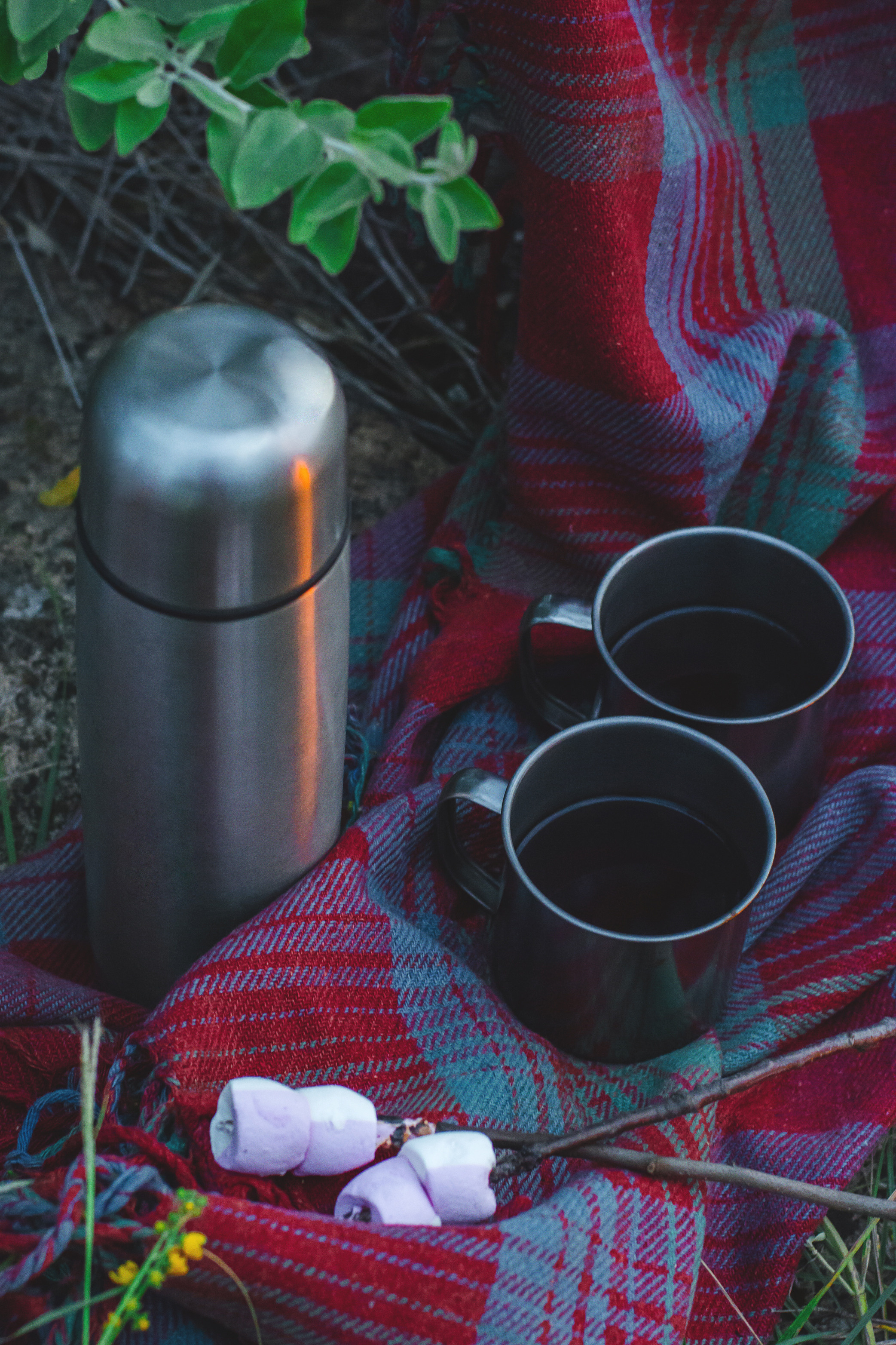 У костра. Фотограф Ким Ангелина