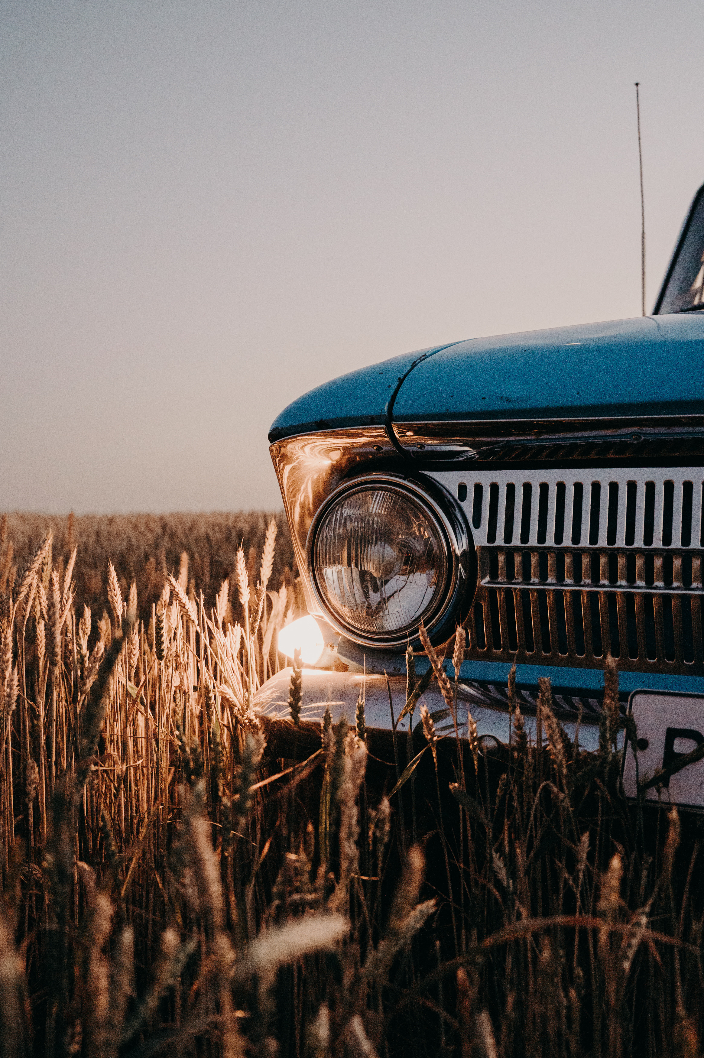 Дима и Марина. Фотограф Ким Ангелина