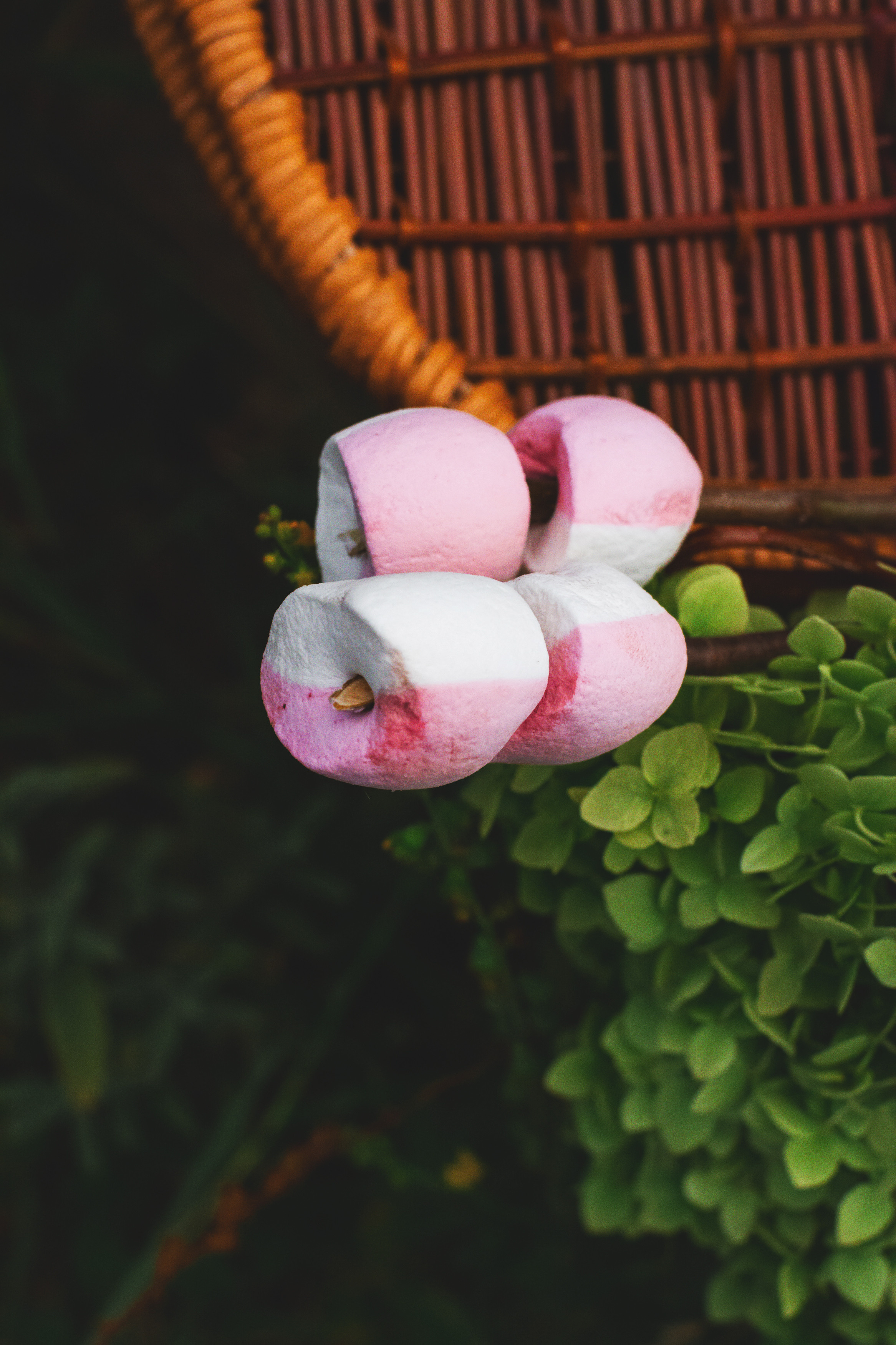 У костра. Фотограф Ким Ангелина